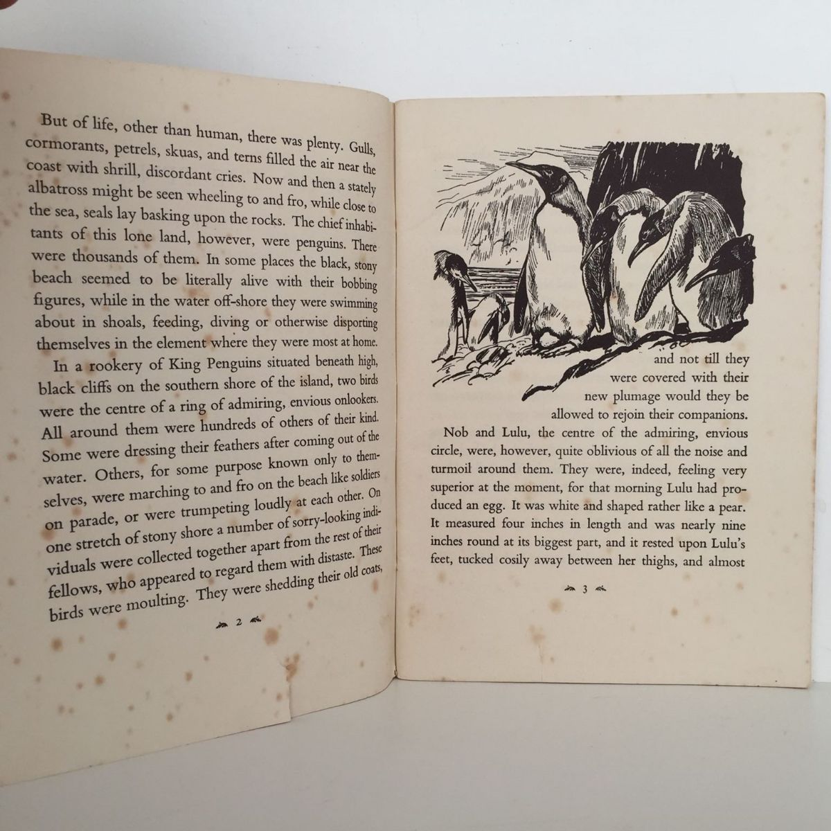 Unicorn Bookshop