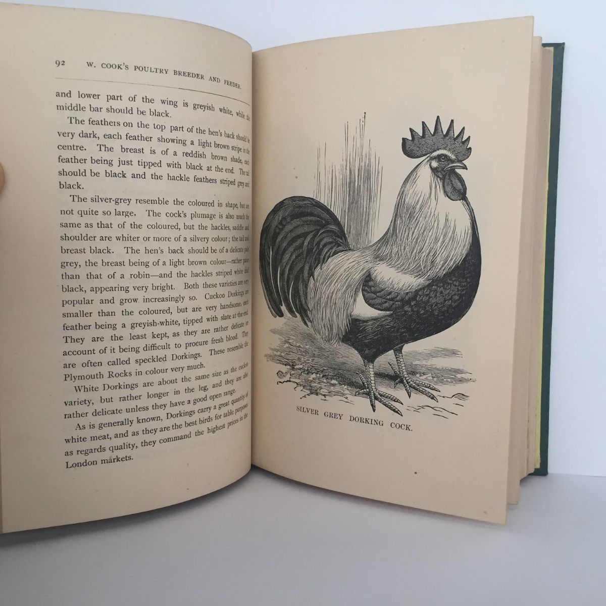 Unicorn Bookshop