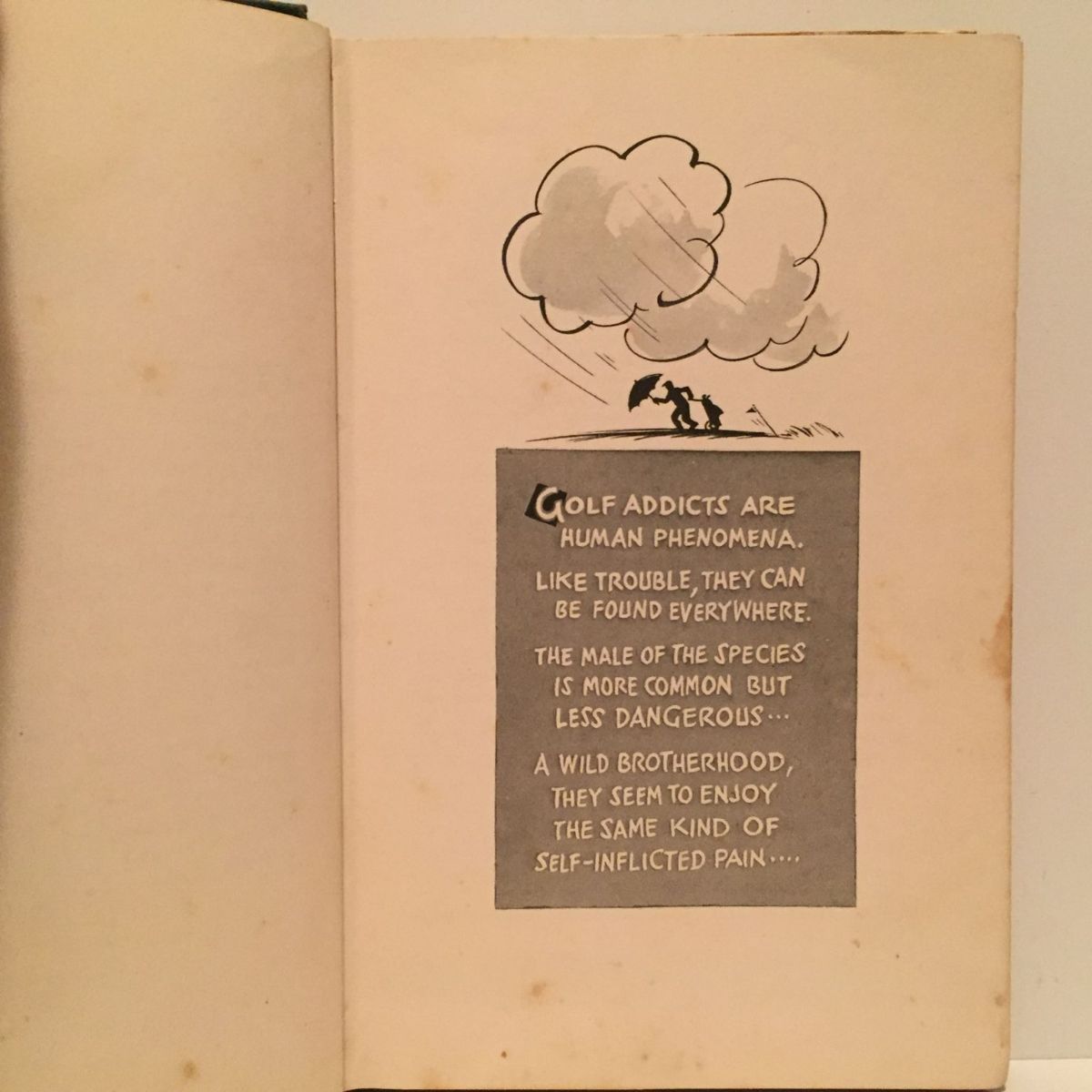 Unicorn Bookshop