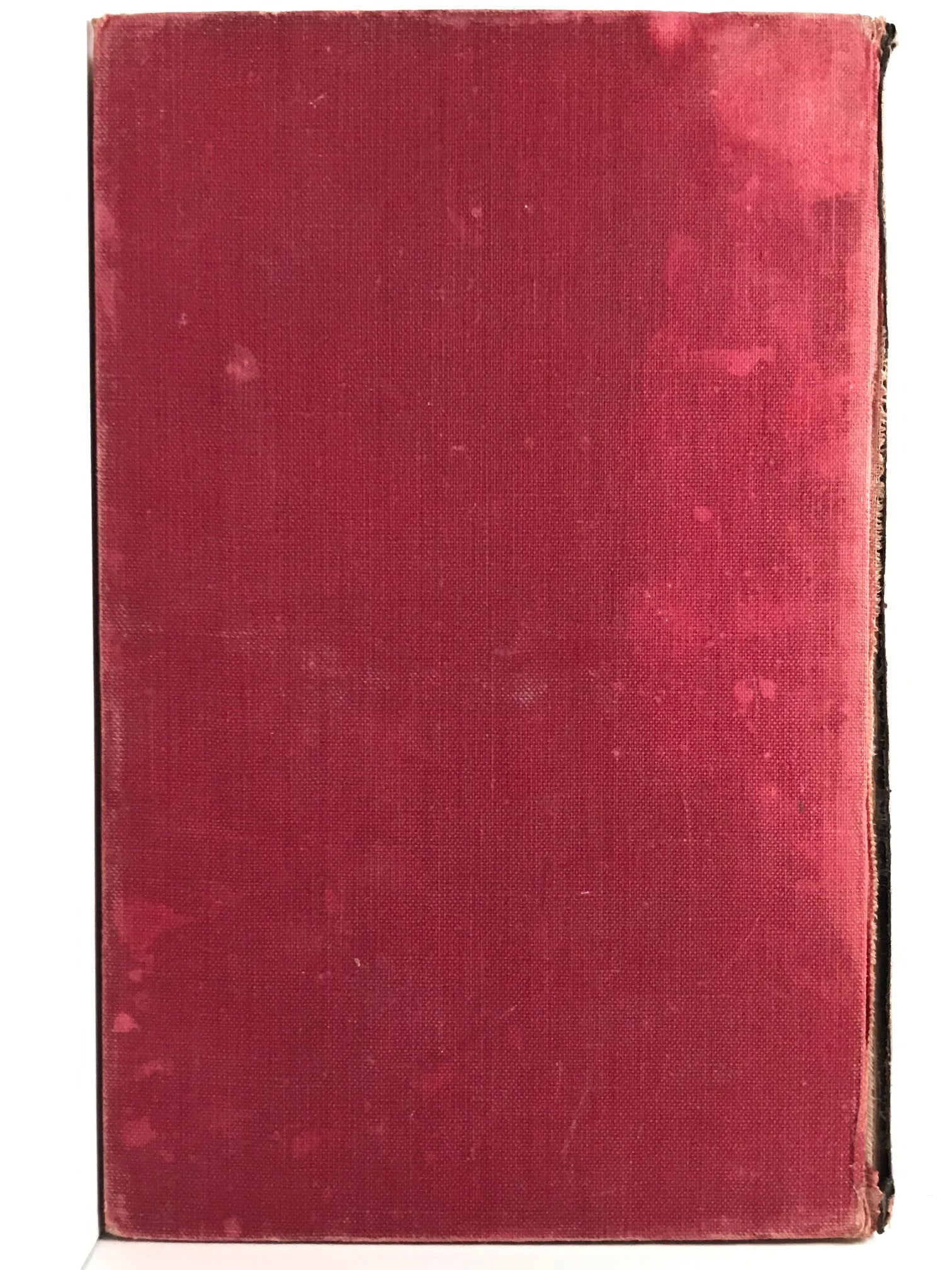 Unicorn Bookshop