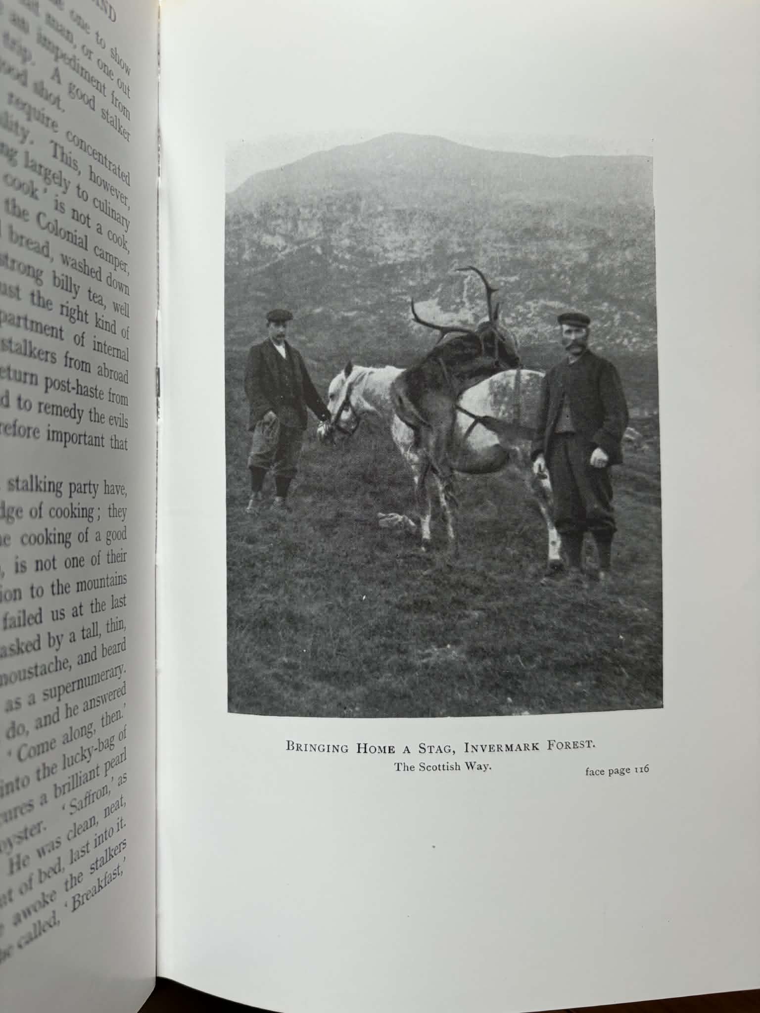 Unicorn Bookshop