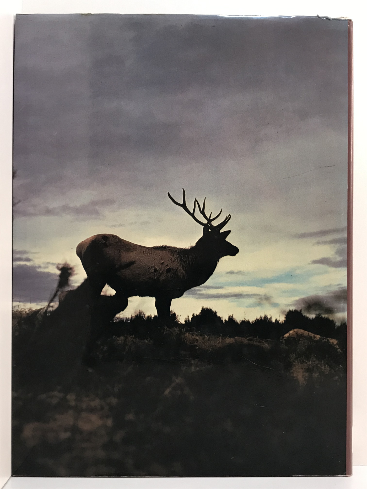 Unicorn Bookshop