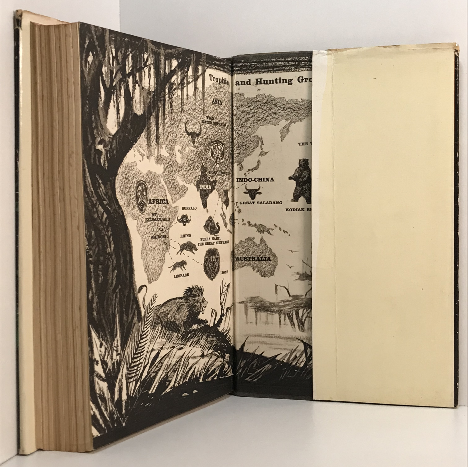 Unicorn Bookshop