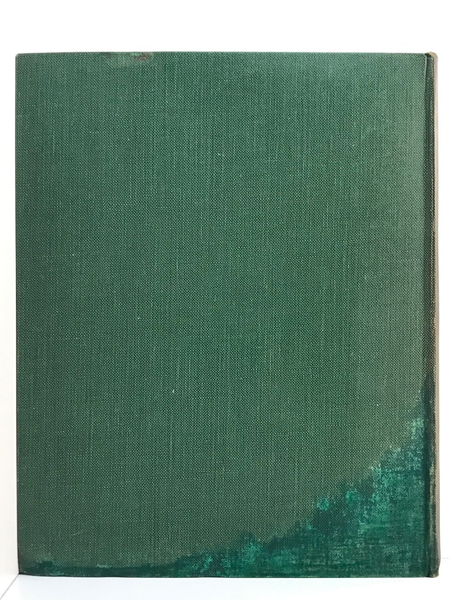 Unicorn Bookshop