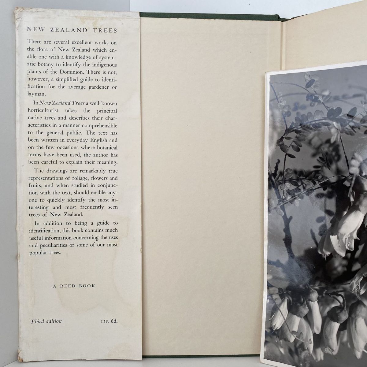 Unicorn Bookshop