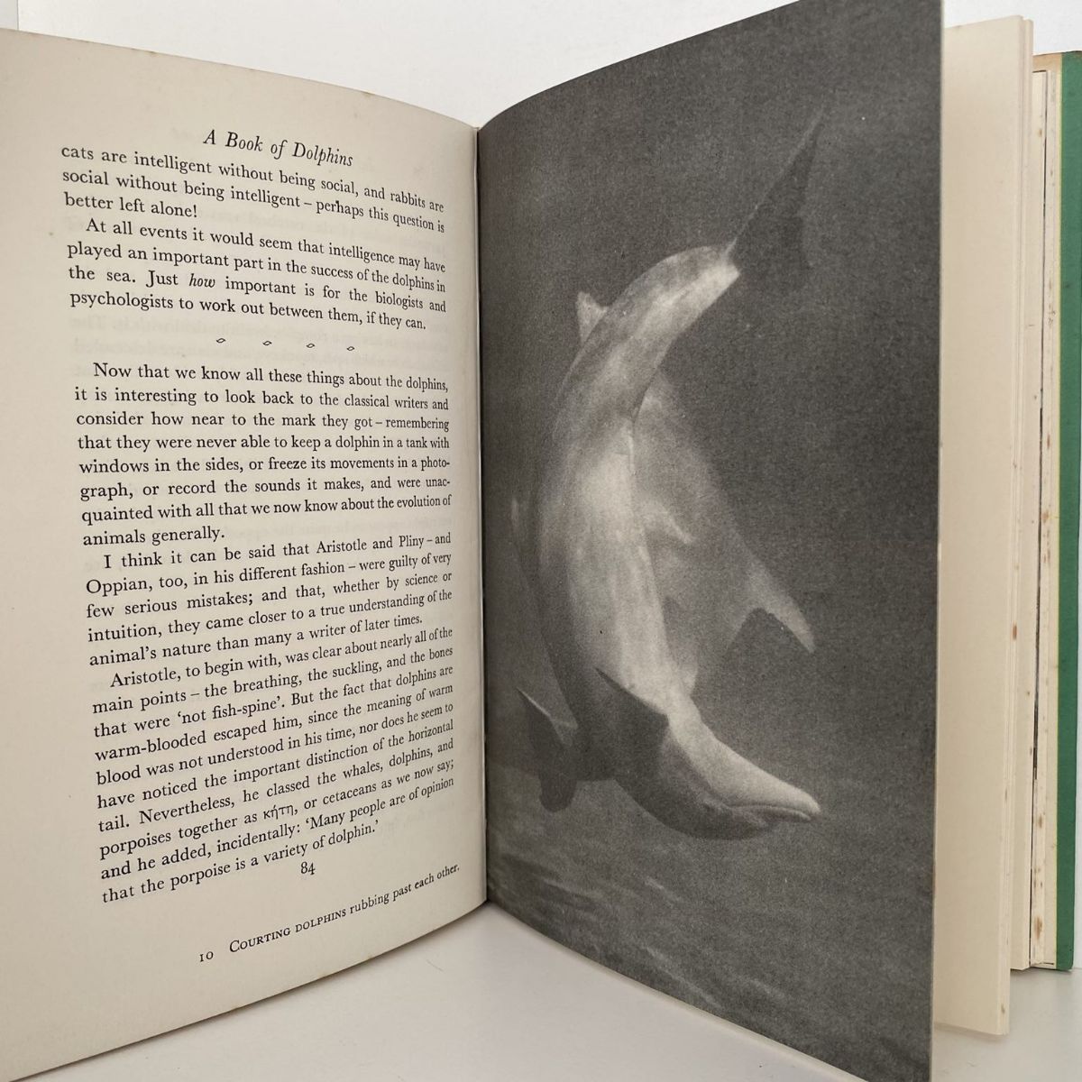 Unicorn Bookshop