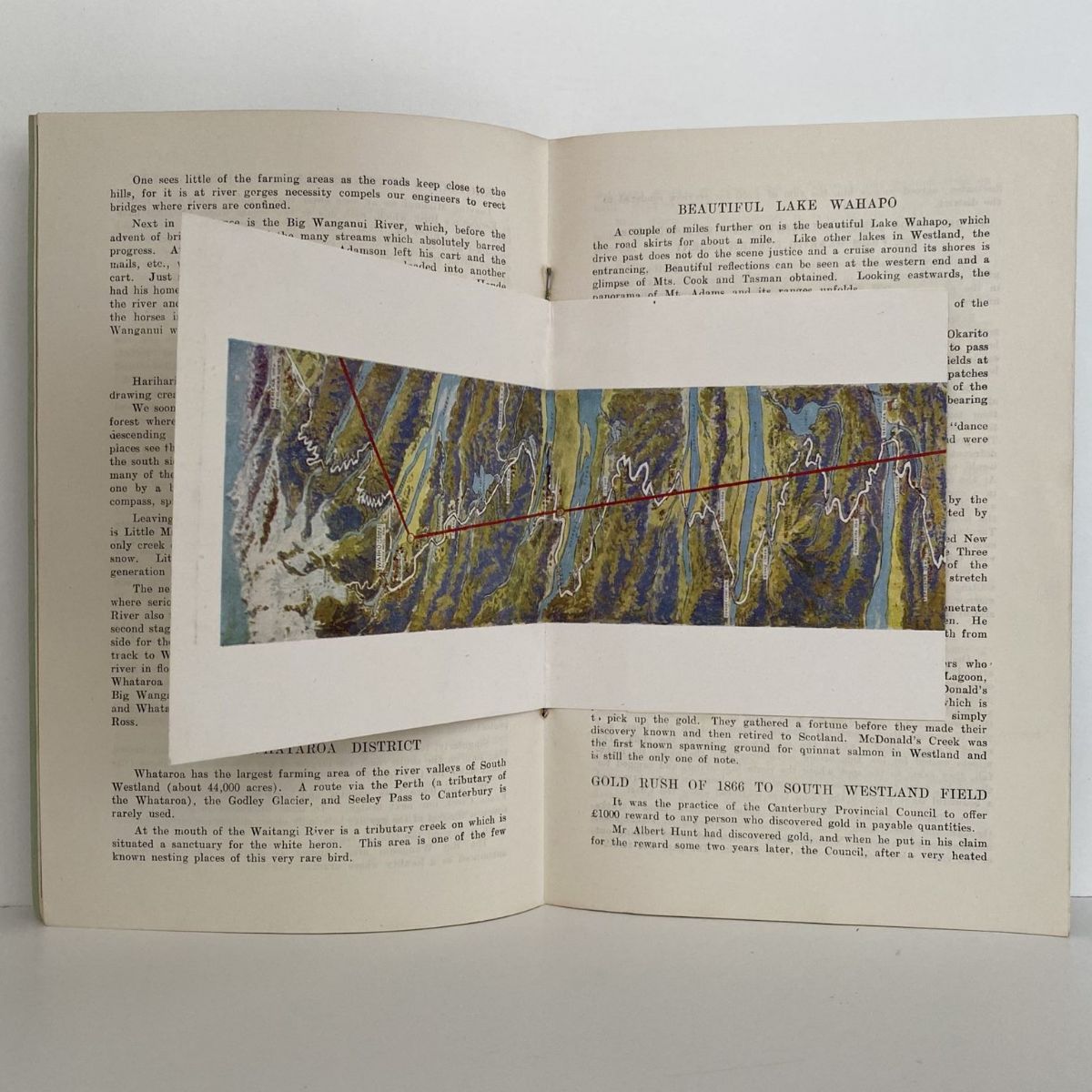 Unicorn Bookshop