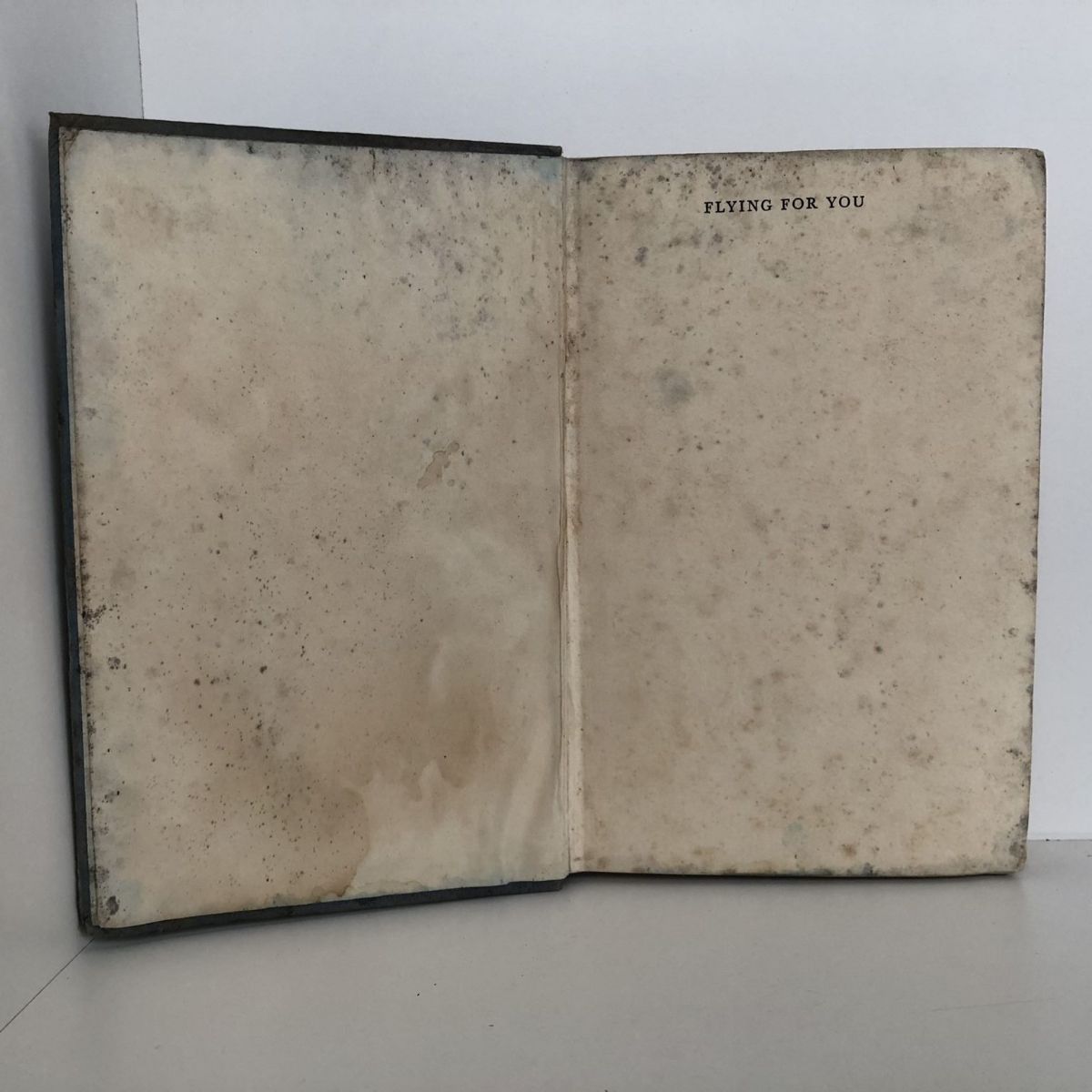 Unicorn Bookshop