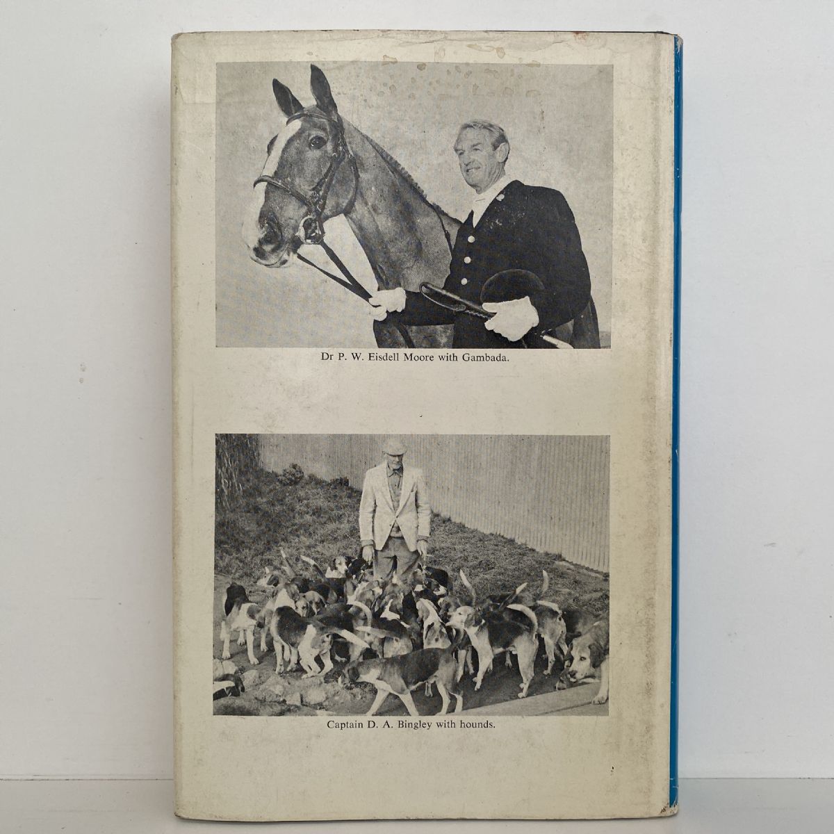 Unicorn Bookshop
