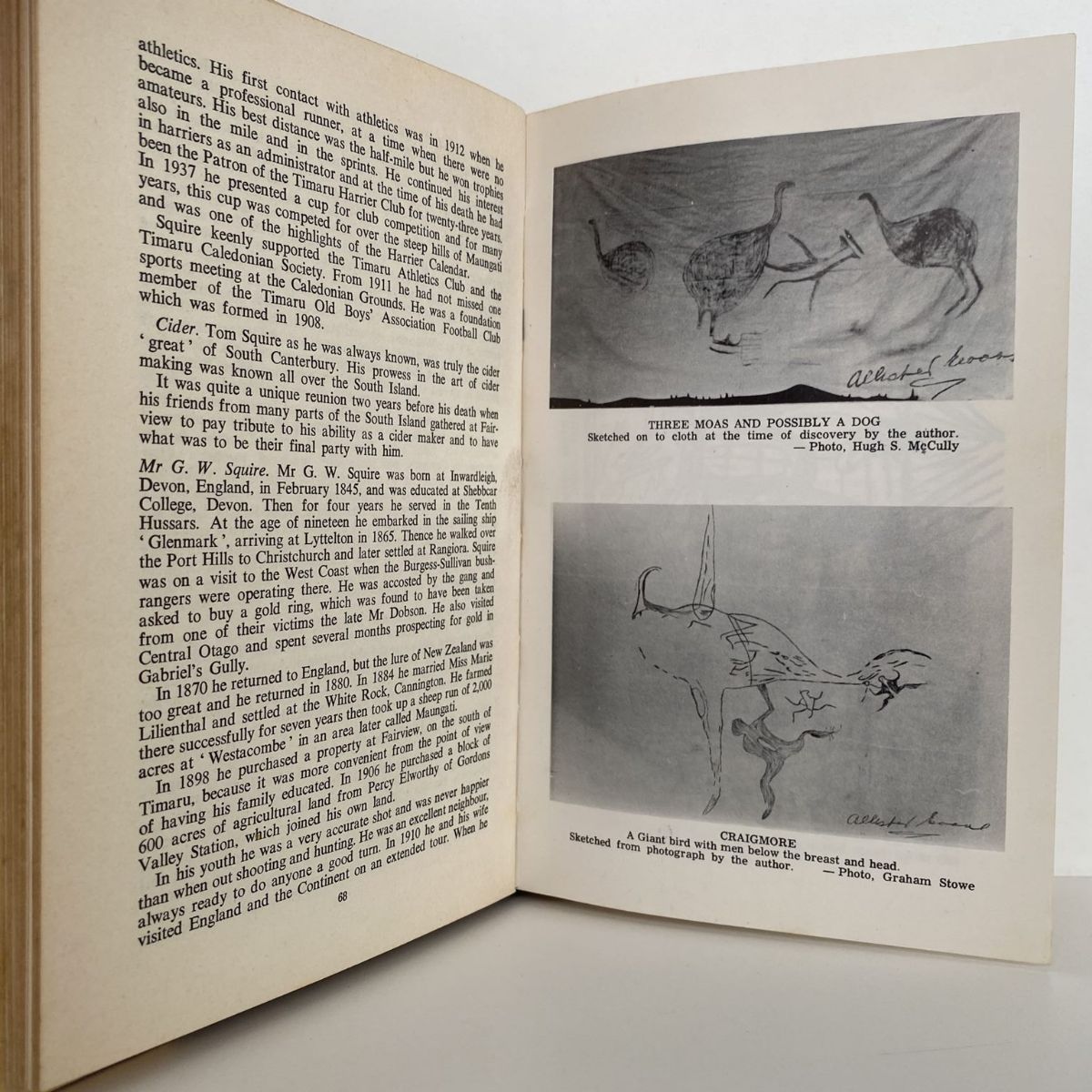 Unicorn Bookshop