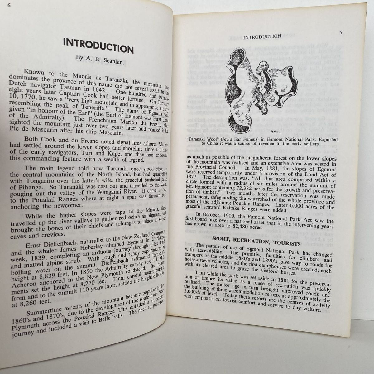 Unicorn Bookshop