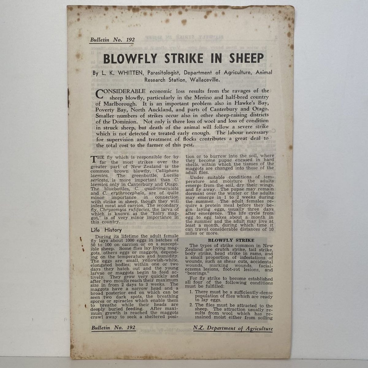 Unicorn Bookshop