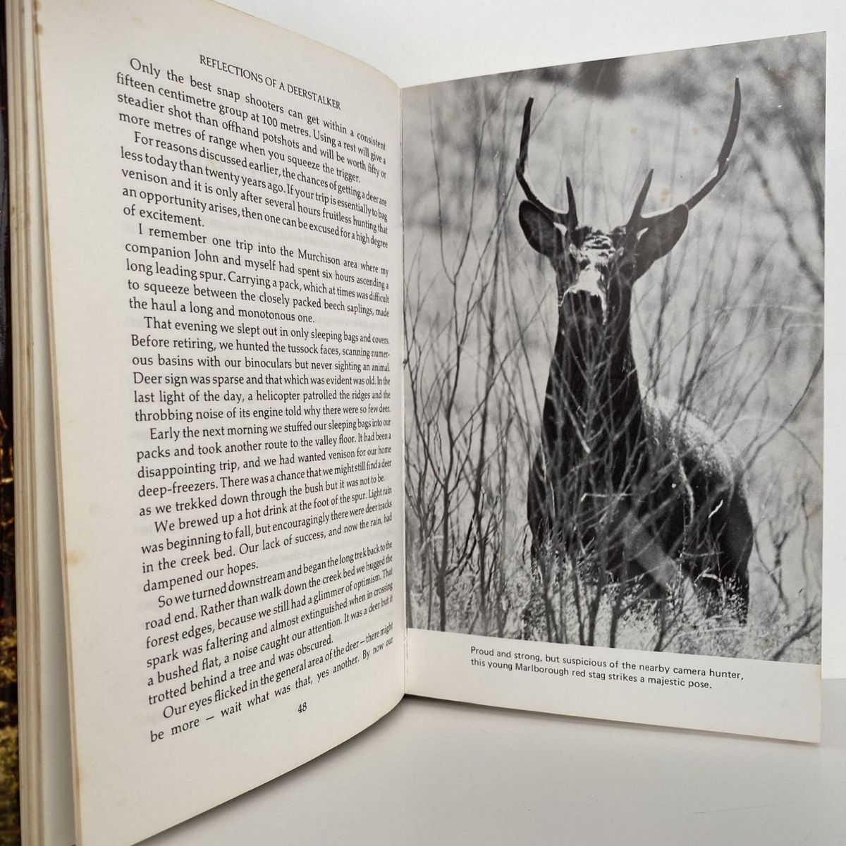 Unicorn Bookshop