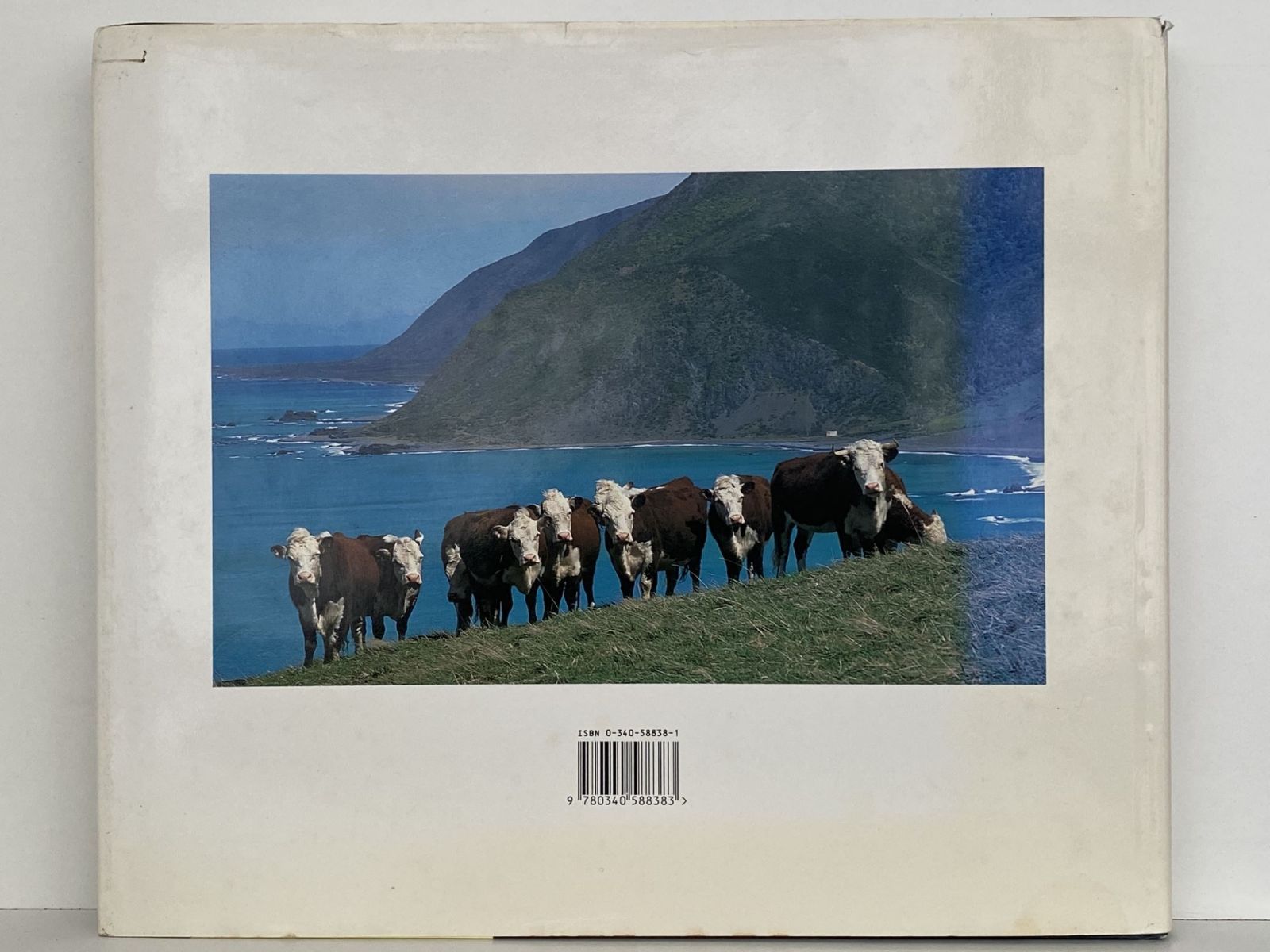 Unicorn Bookshop