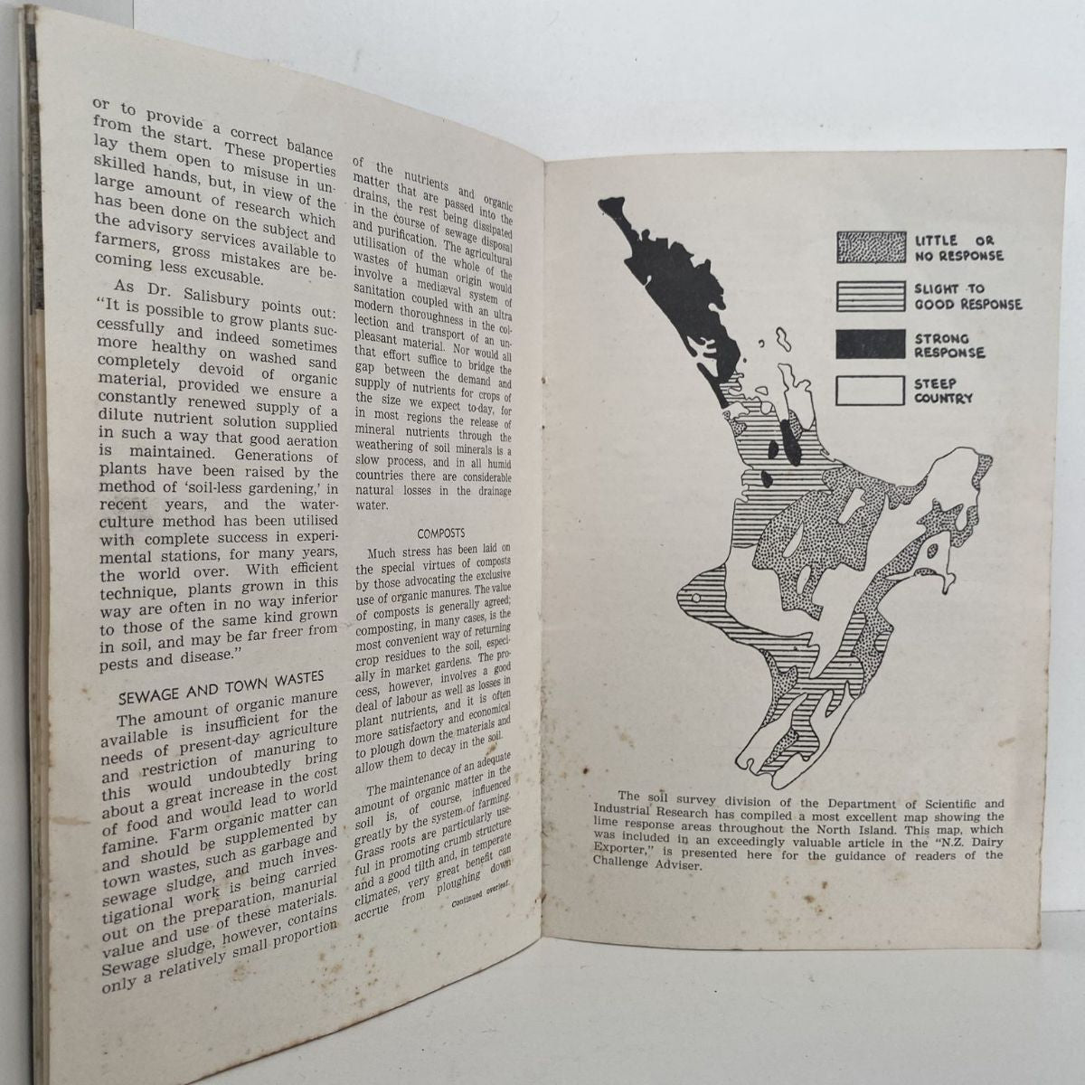 Unicorn Bookshop