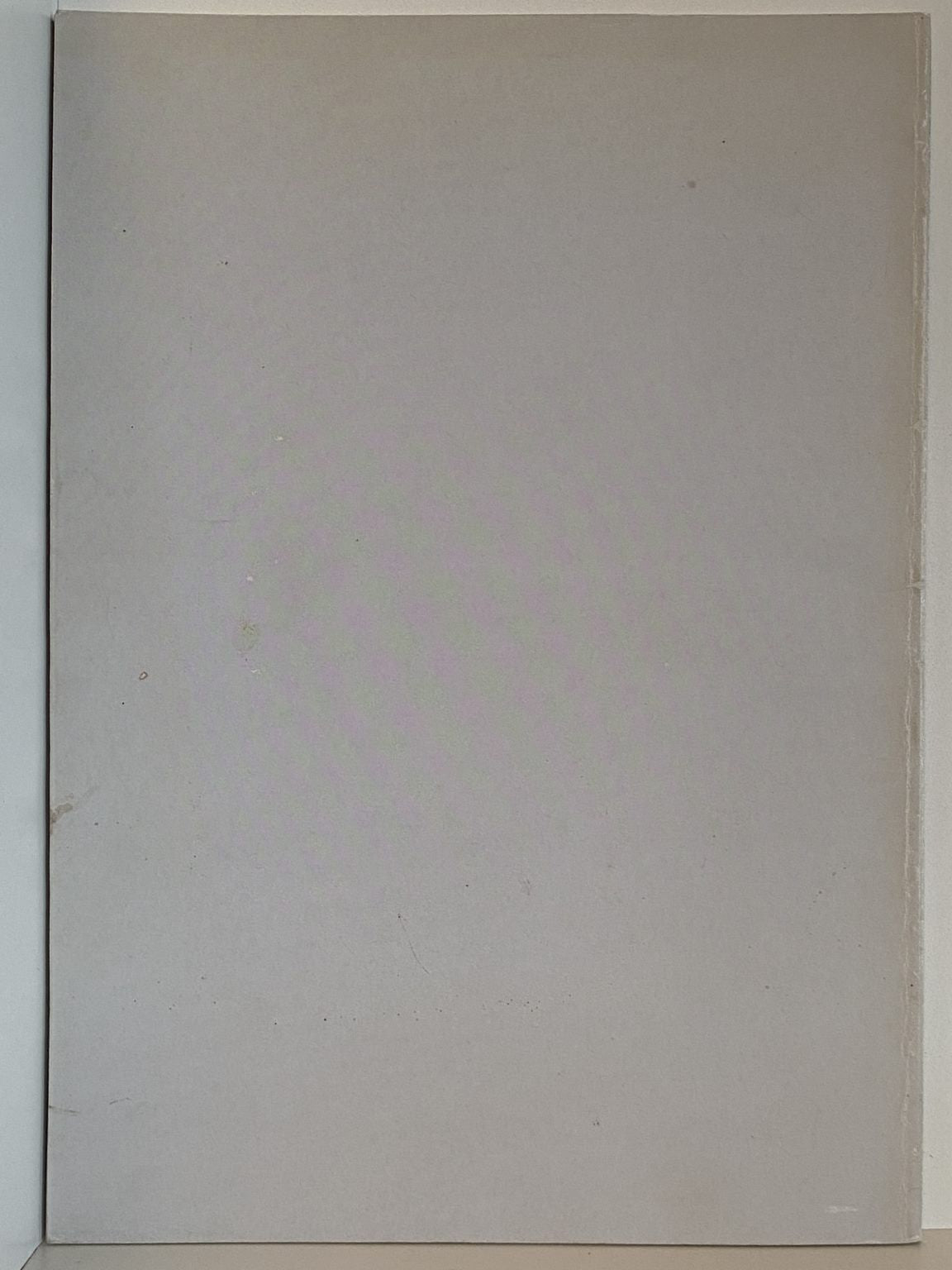Unicorn Bookshop