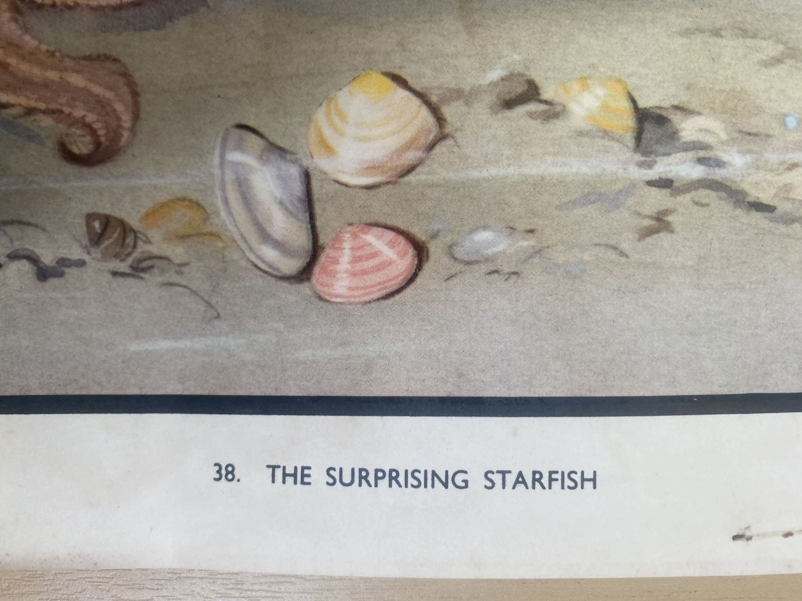 Unicorn Bookshop