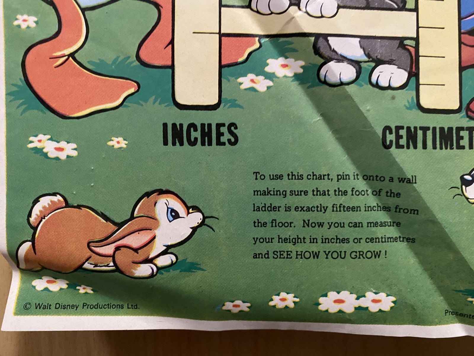 Unicorn Bookshop
