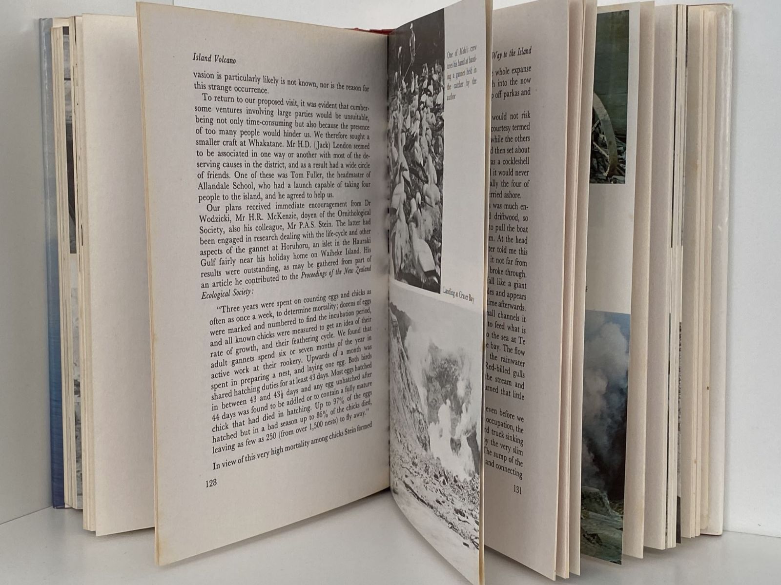 Unicorn Bookshop