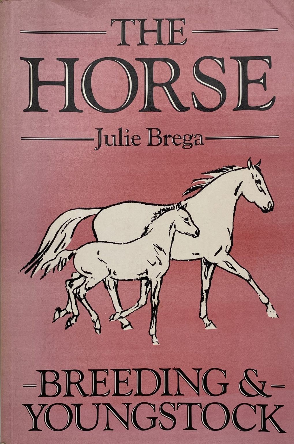 Unicorn Bookshop