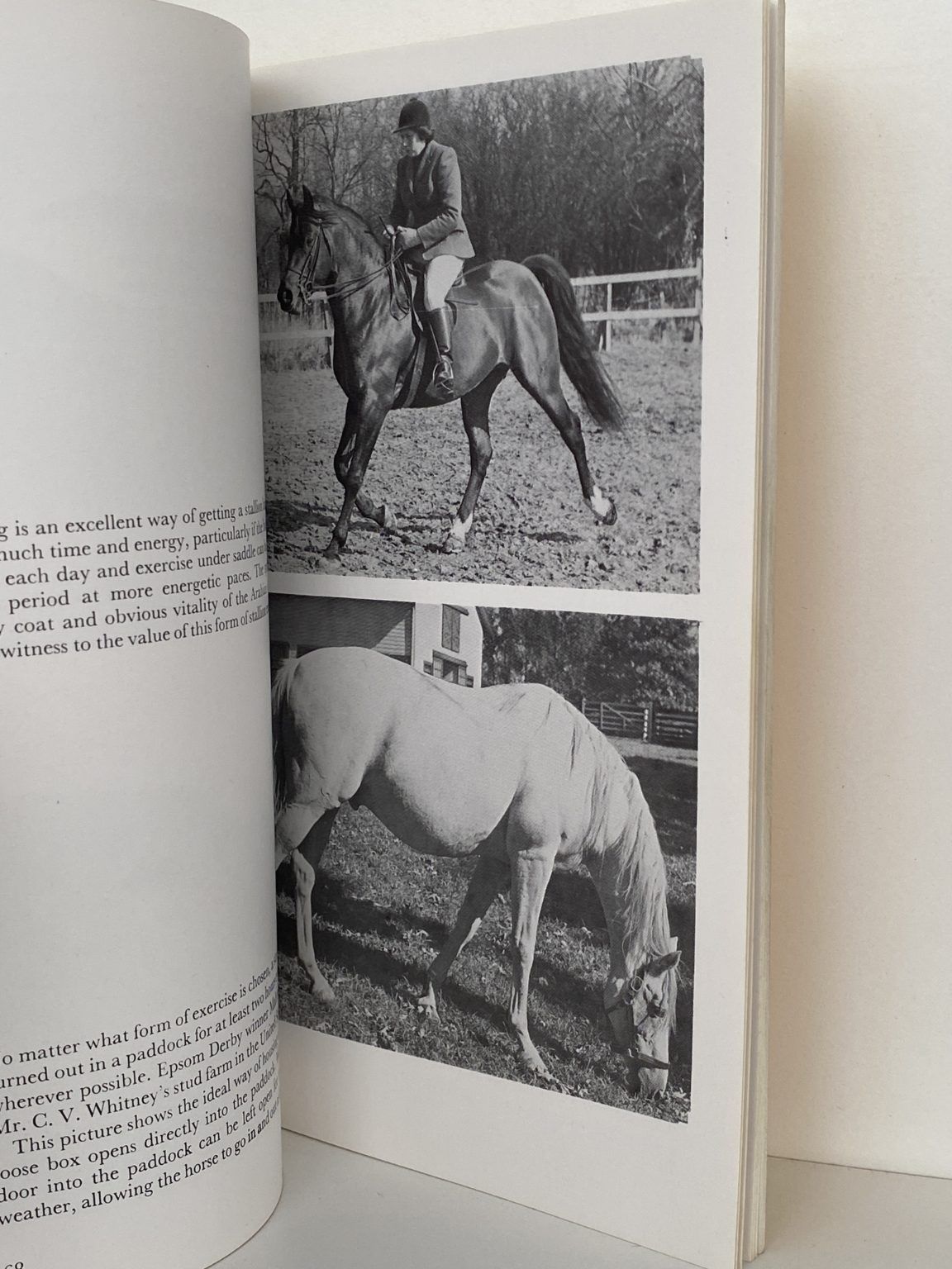 Unicorn Bookshop