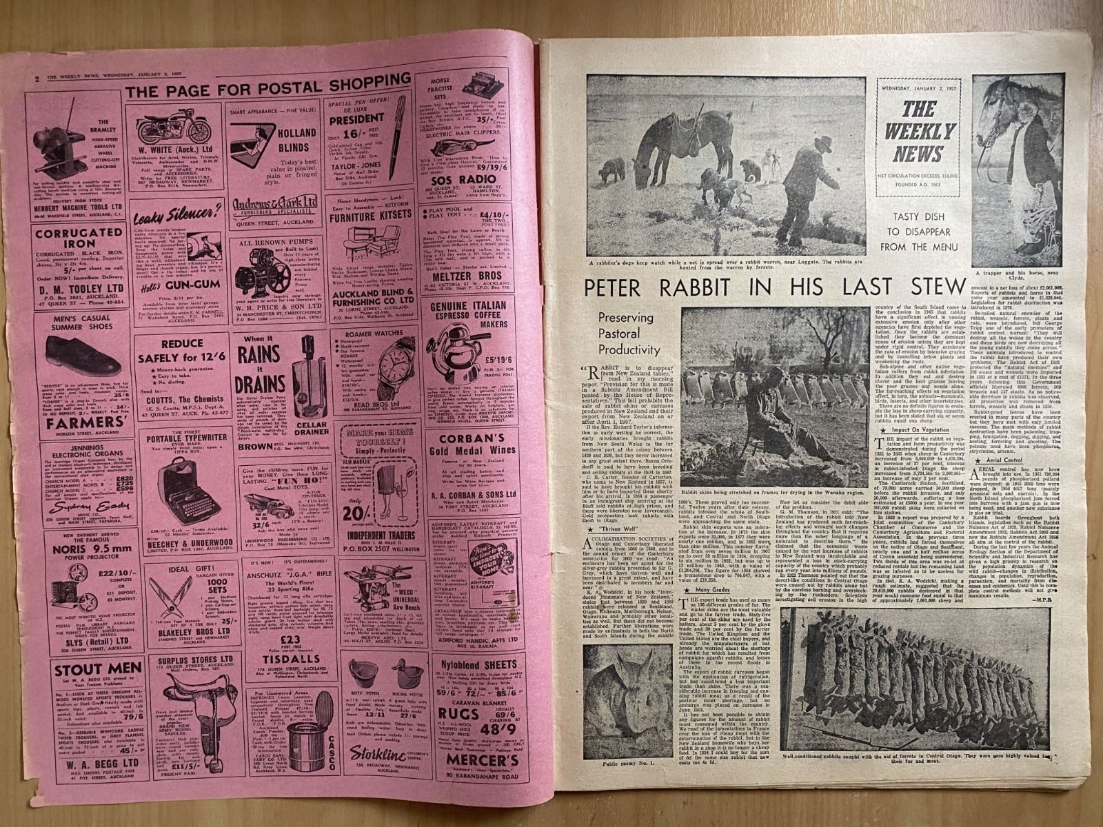 Unicorn Bookshop