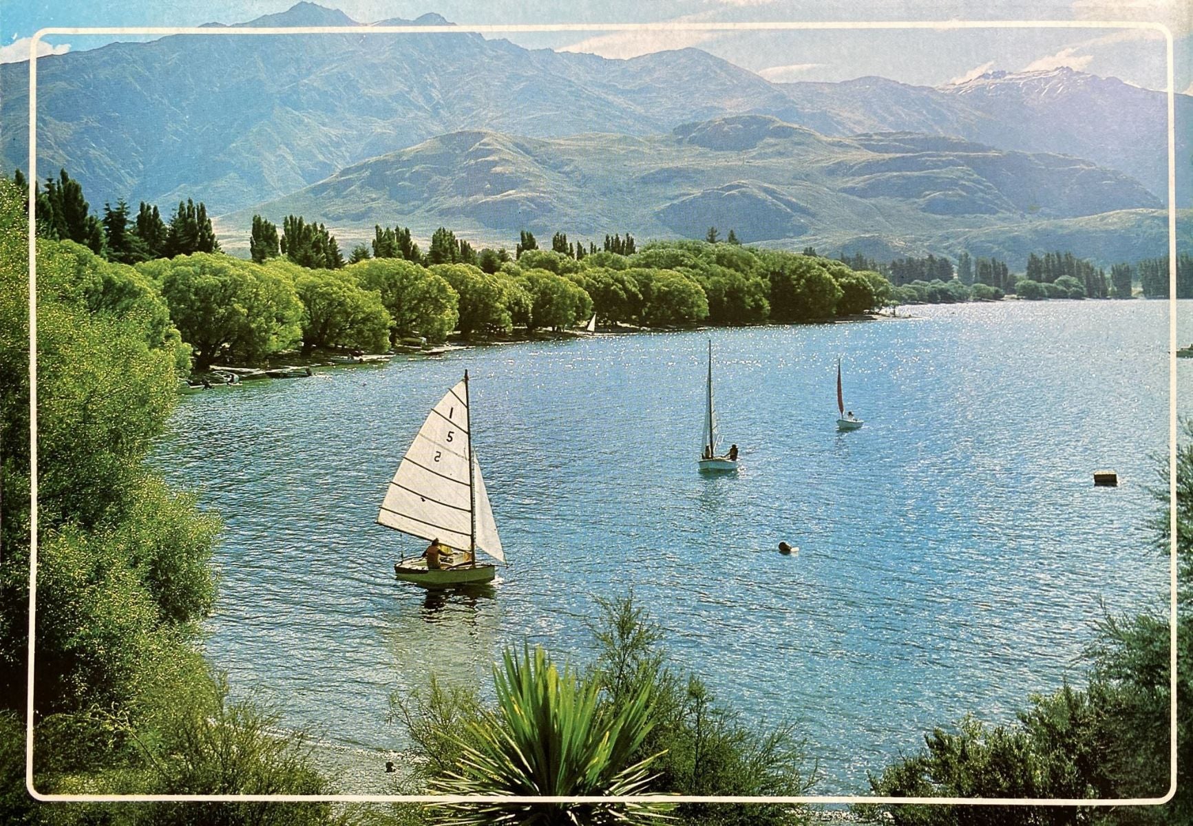 Unicorn Bookshop