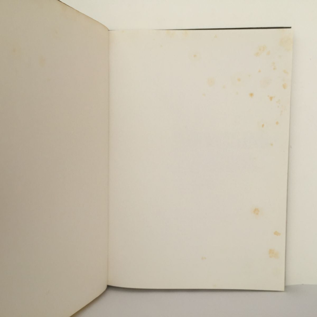 Unicorn Bookshop
