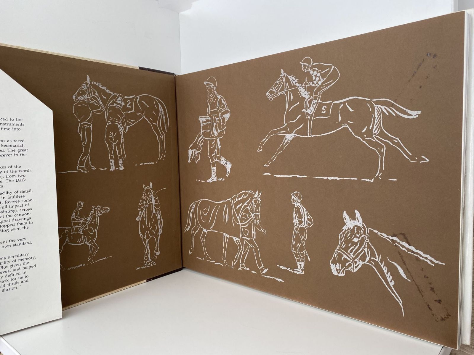 Unicorn Bookshop