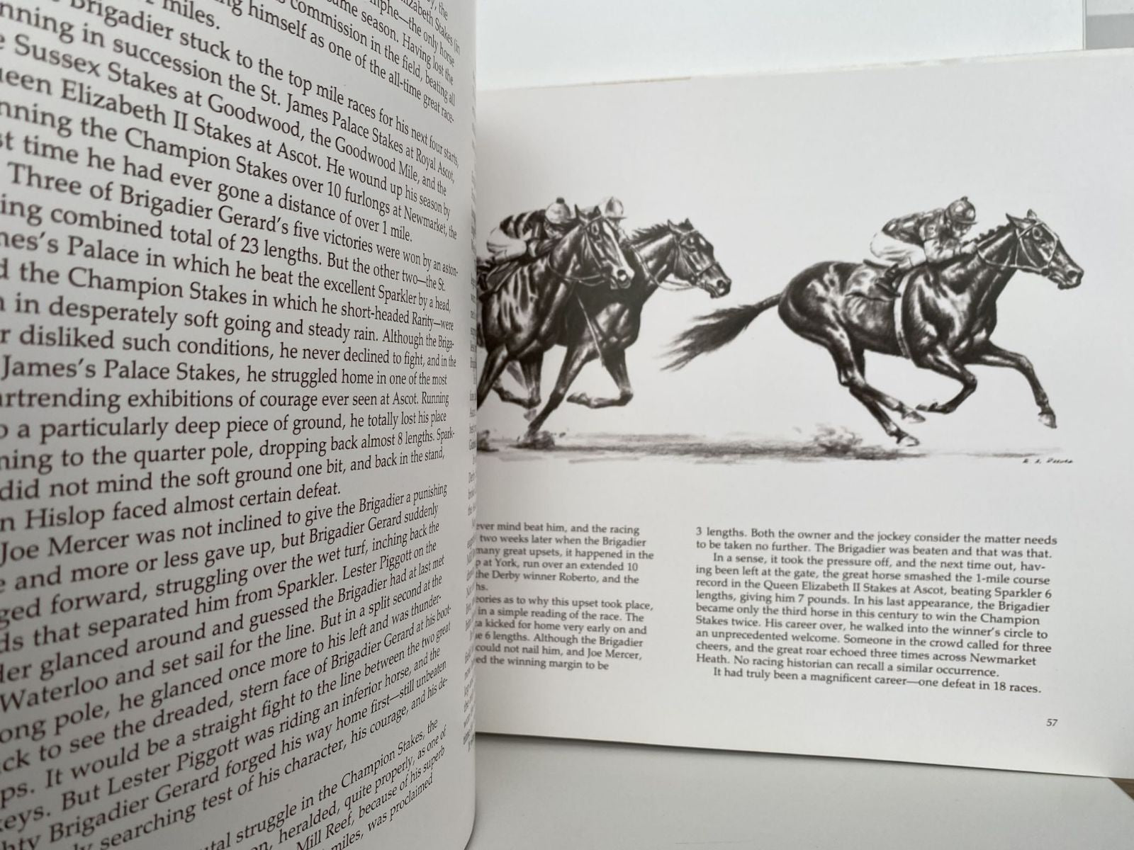 Unicorn Bookshop