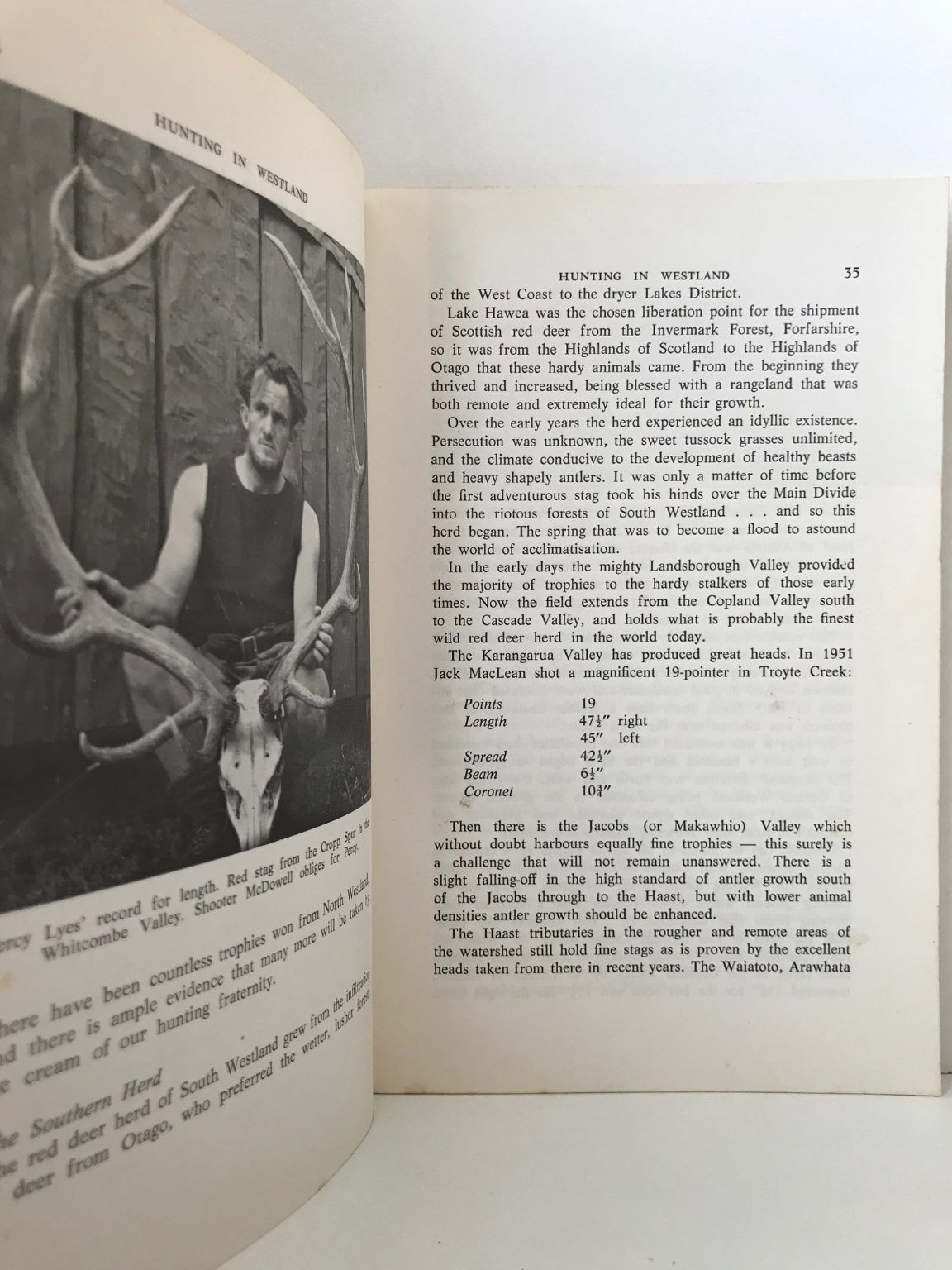 Unicorn Bookshop