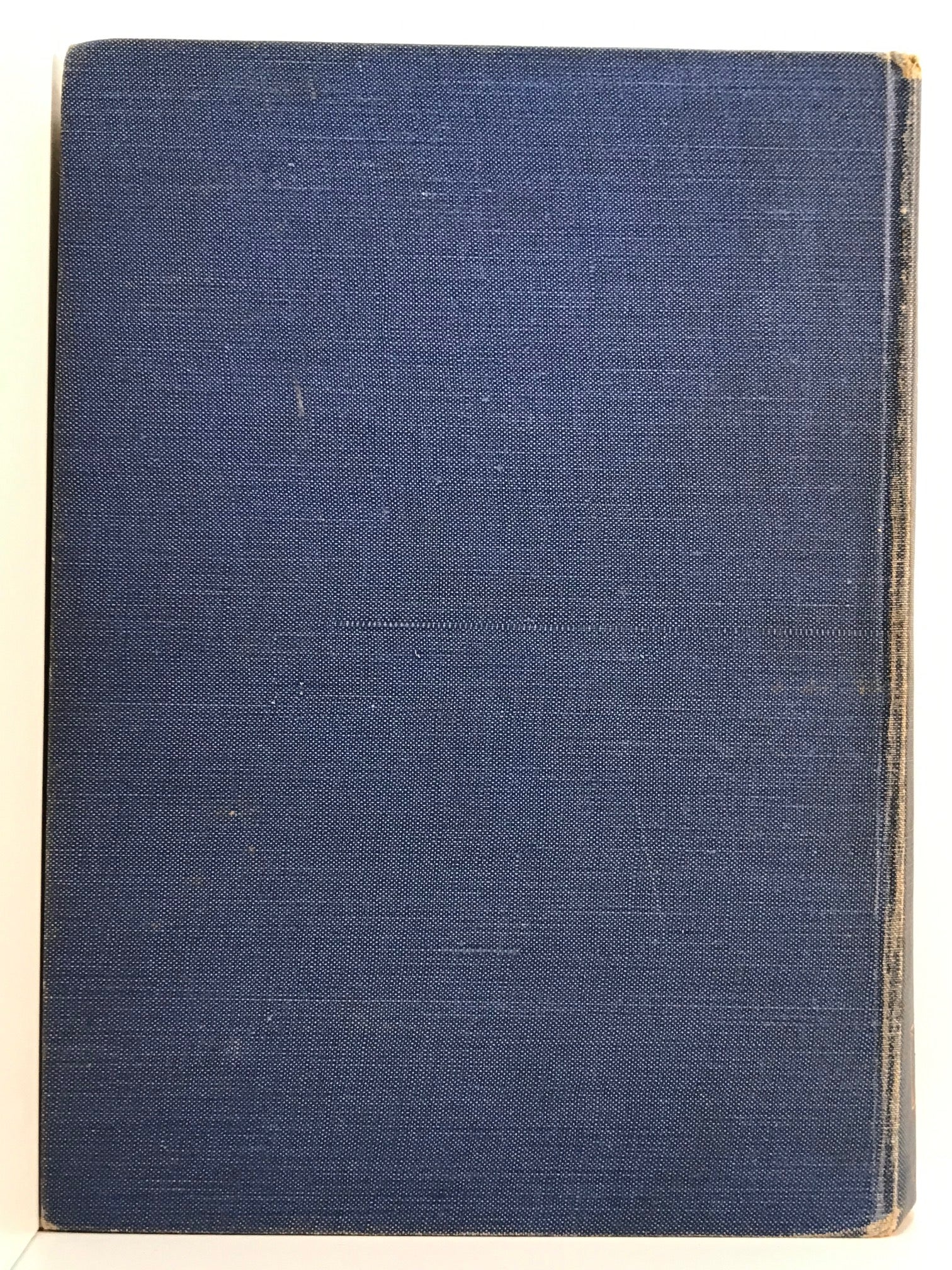 Unicorn Bookshop