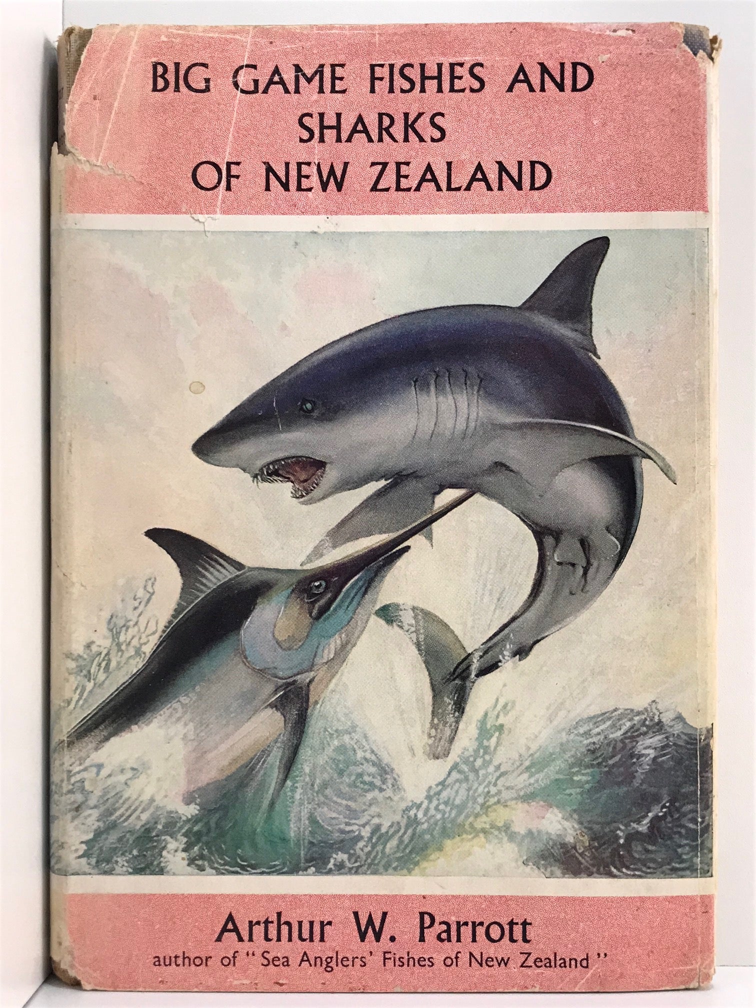 Unicorn Bookshop