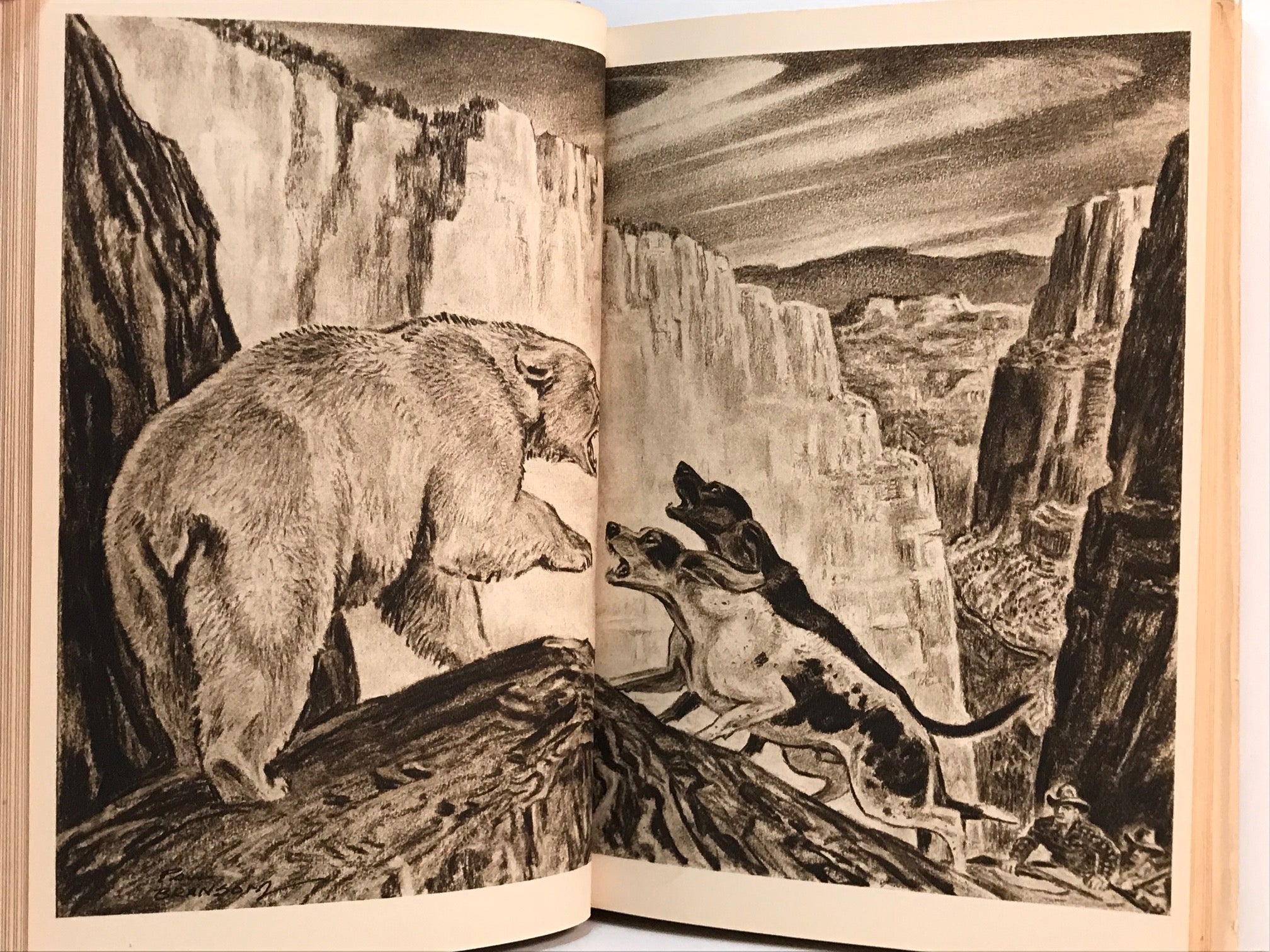 Unicorn Bookshop