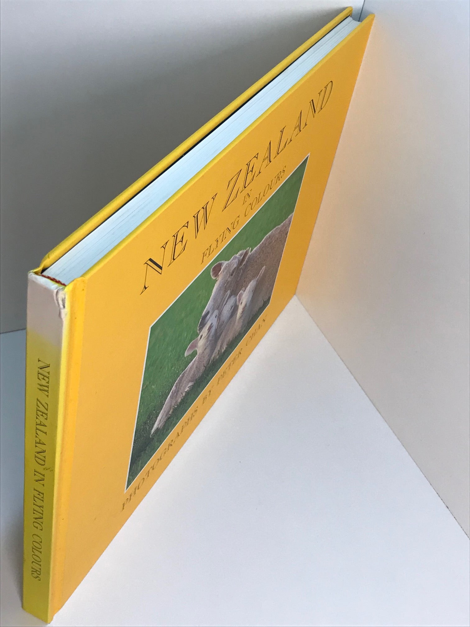 Unicorn Bookshop