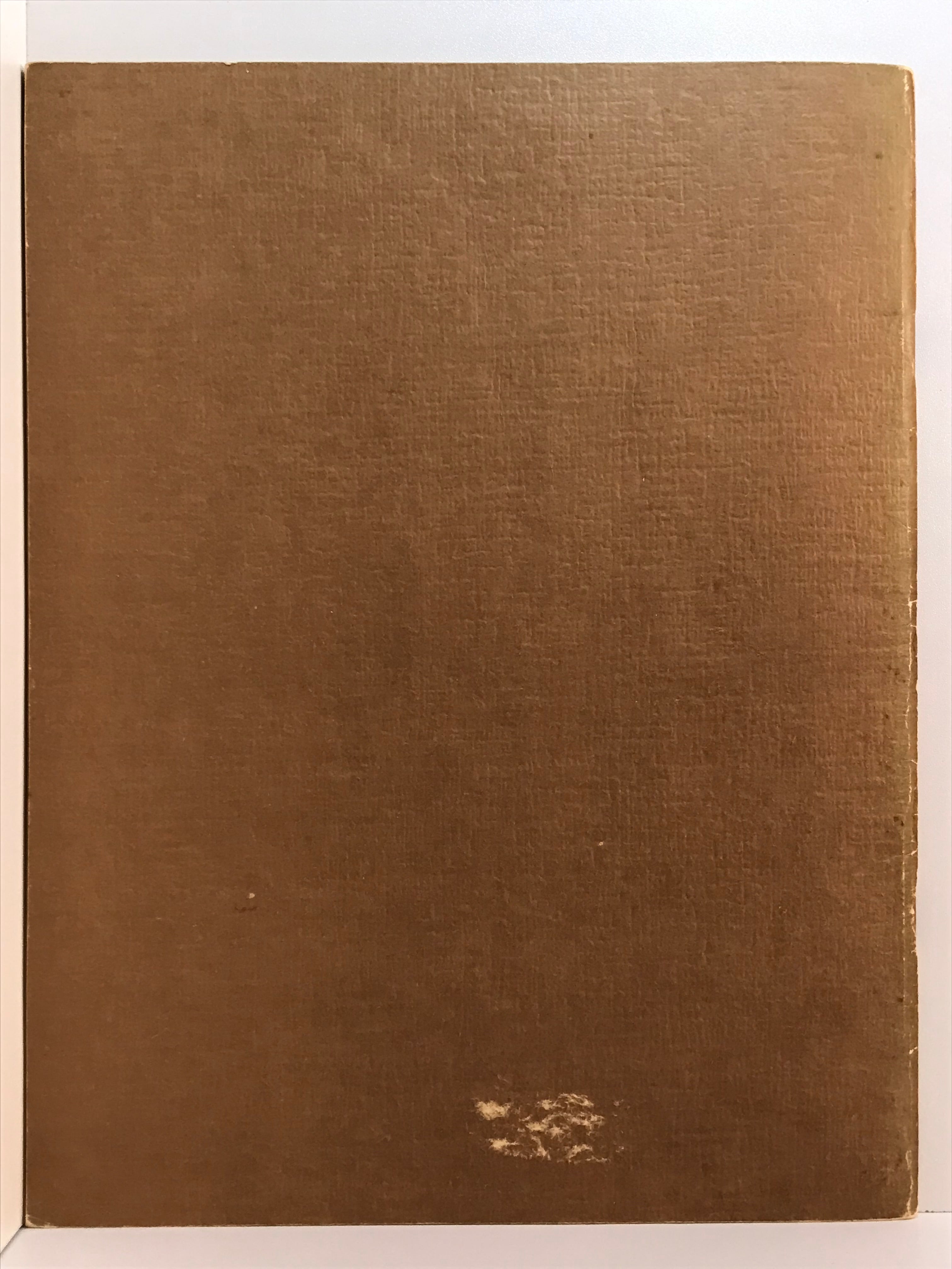 Unicorn Bookshop