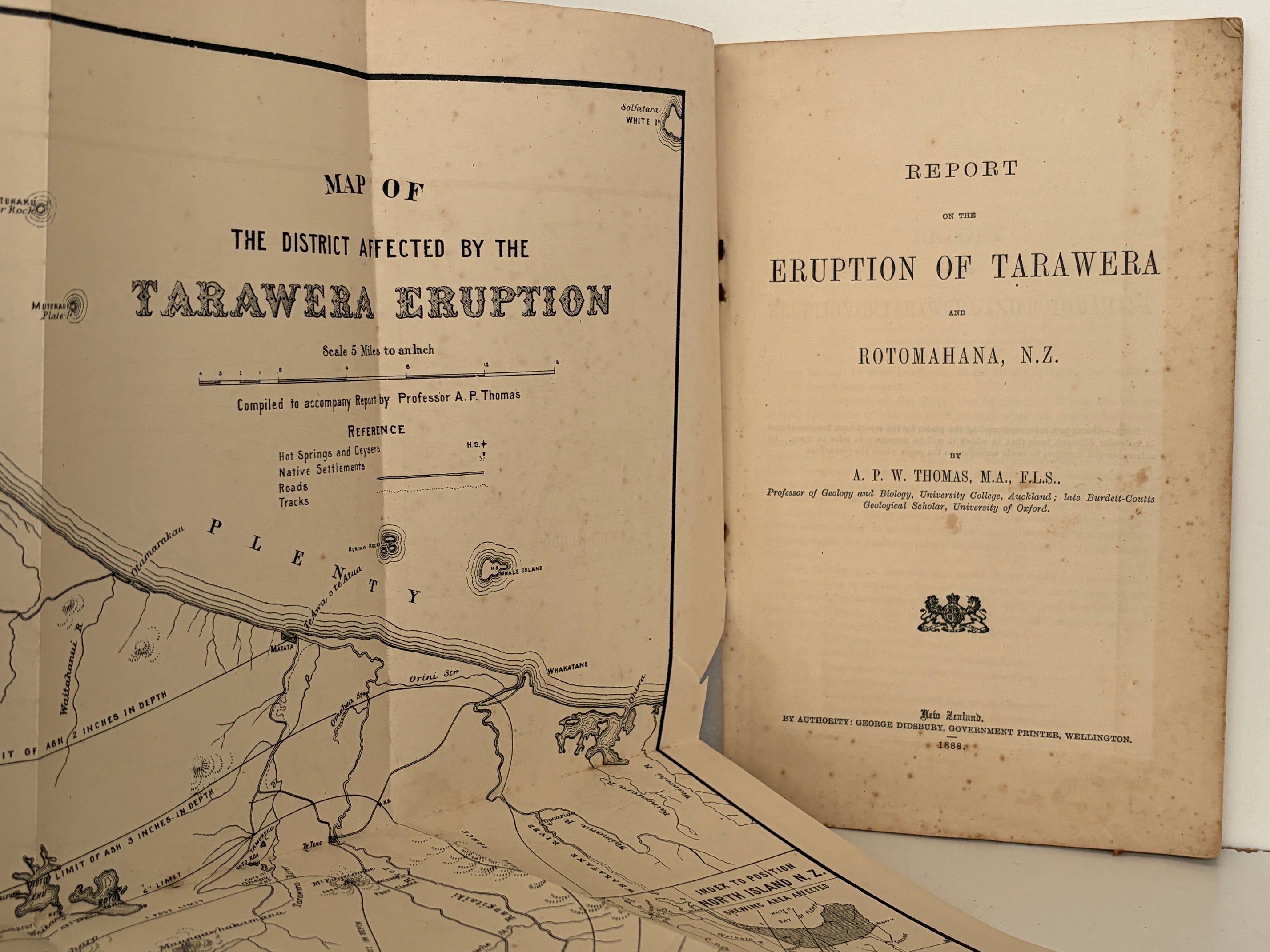 Unicorn Bookshop