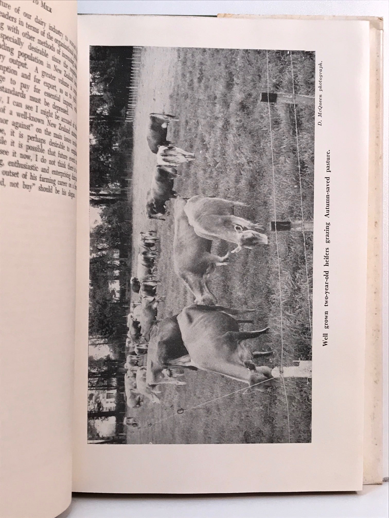 Unicorn Bookshop