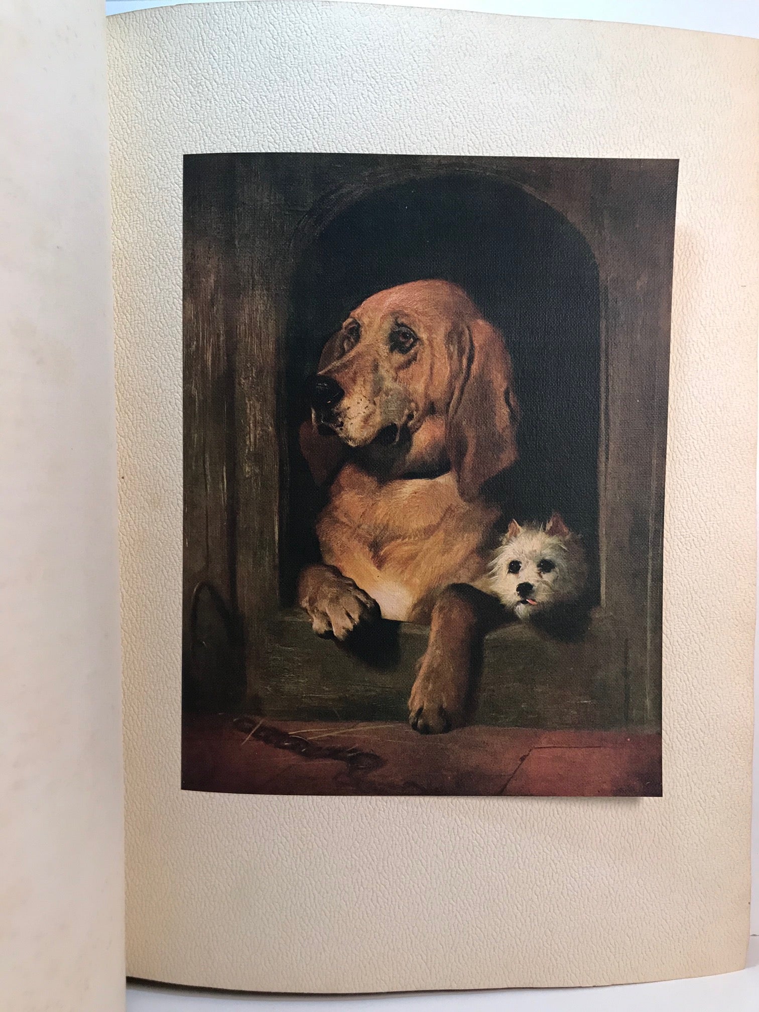 Unicorn Bookshop