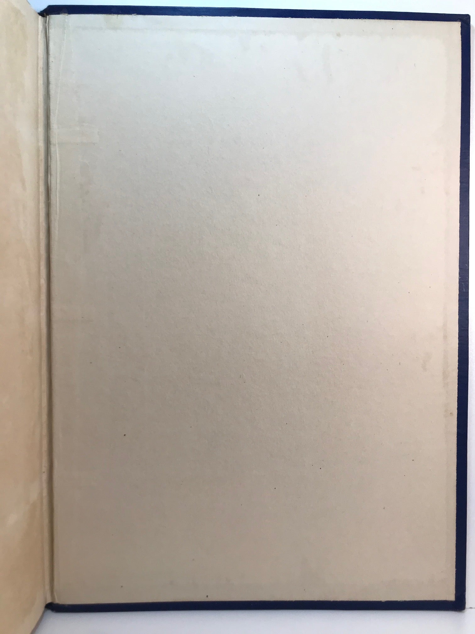 Unicorn Bookshop