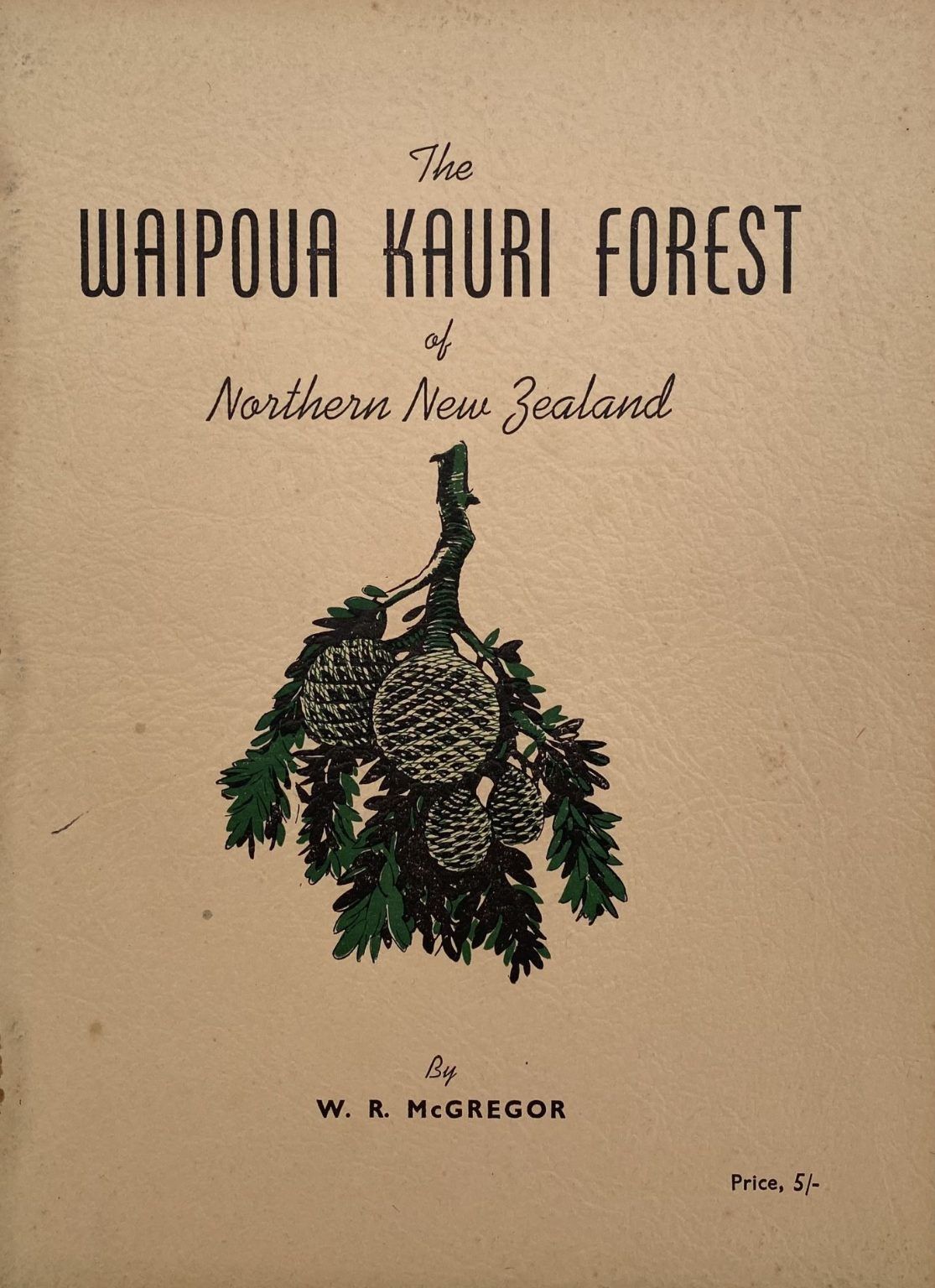 THE WAIPOUA KAURI FOREST of Northern New Zealand -  The Last Virgin Kauri Forest of New Zealand