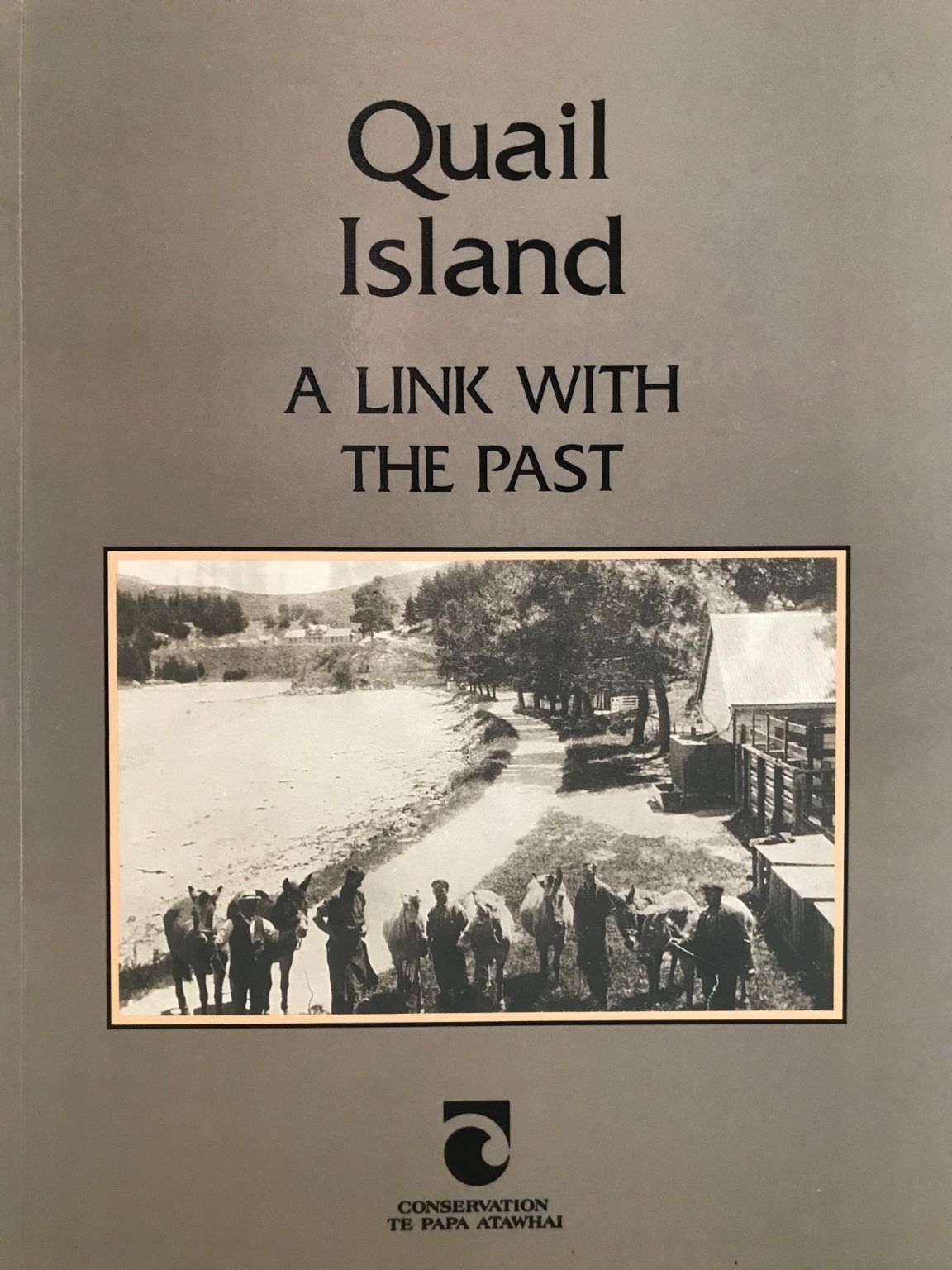 QUAIL ISLAND: A Link With The Past