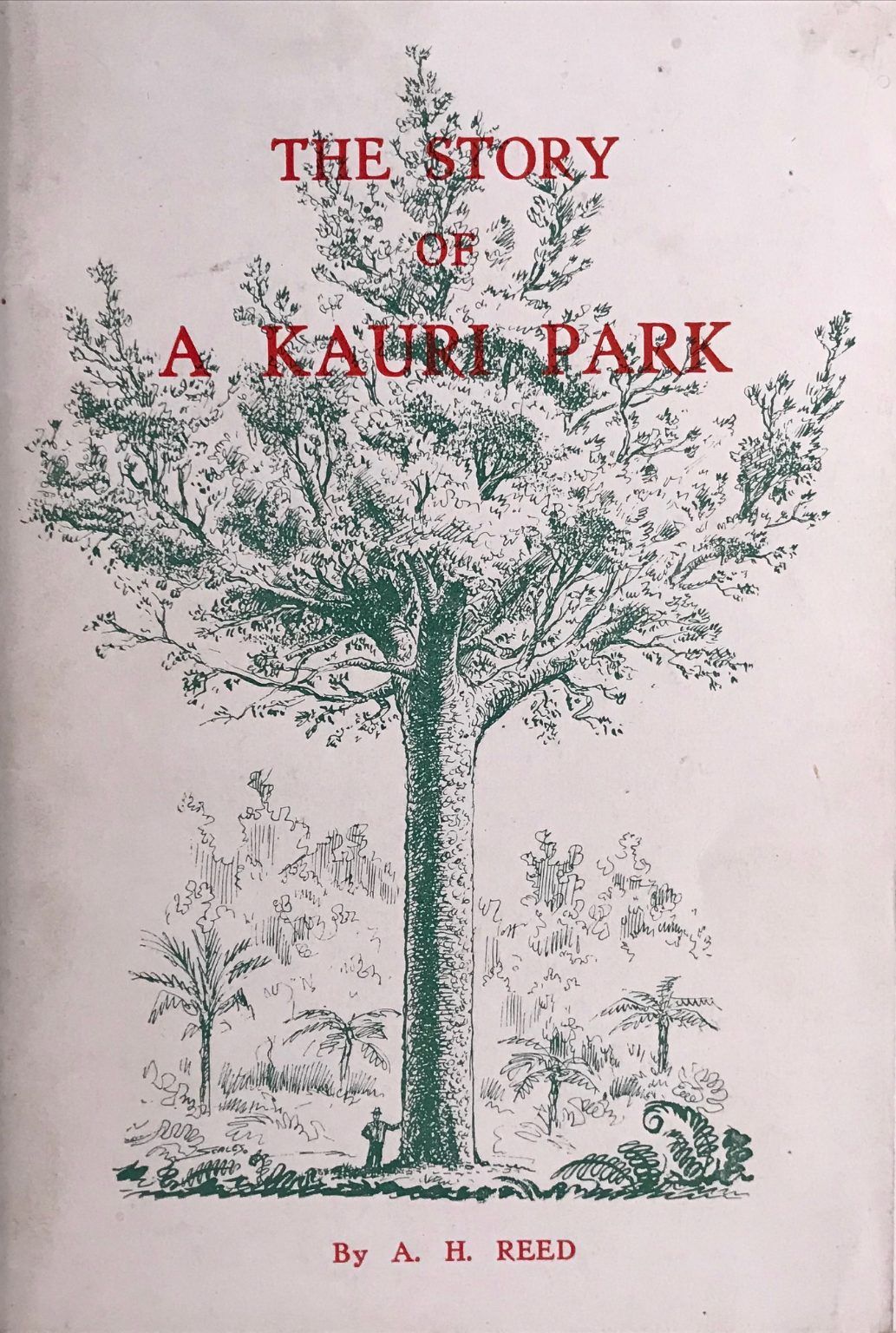 THE STORY OF A KAURI PARK