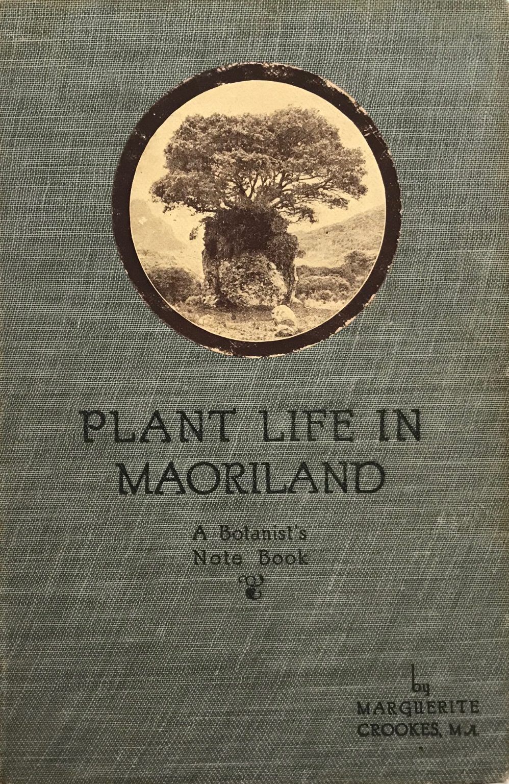 PLANT LIFE IN MAORILAND: A Botanist's Note Book