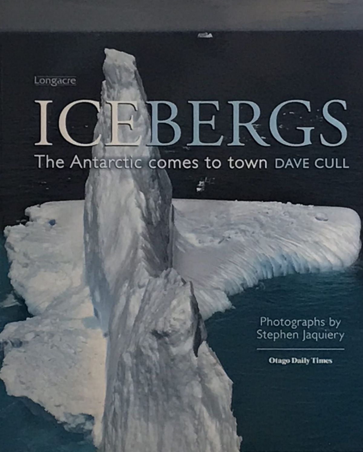 ICEBERGS: The Antarctic Comes to town