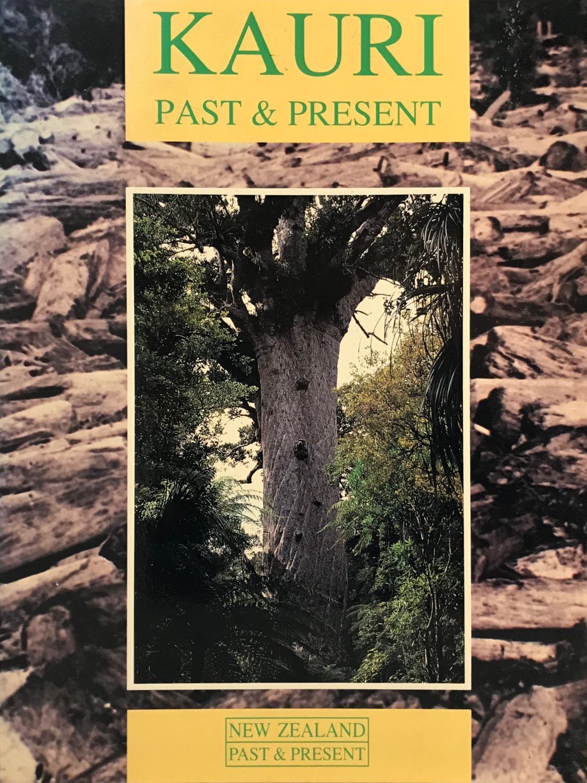 KAURI: Past & Present