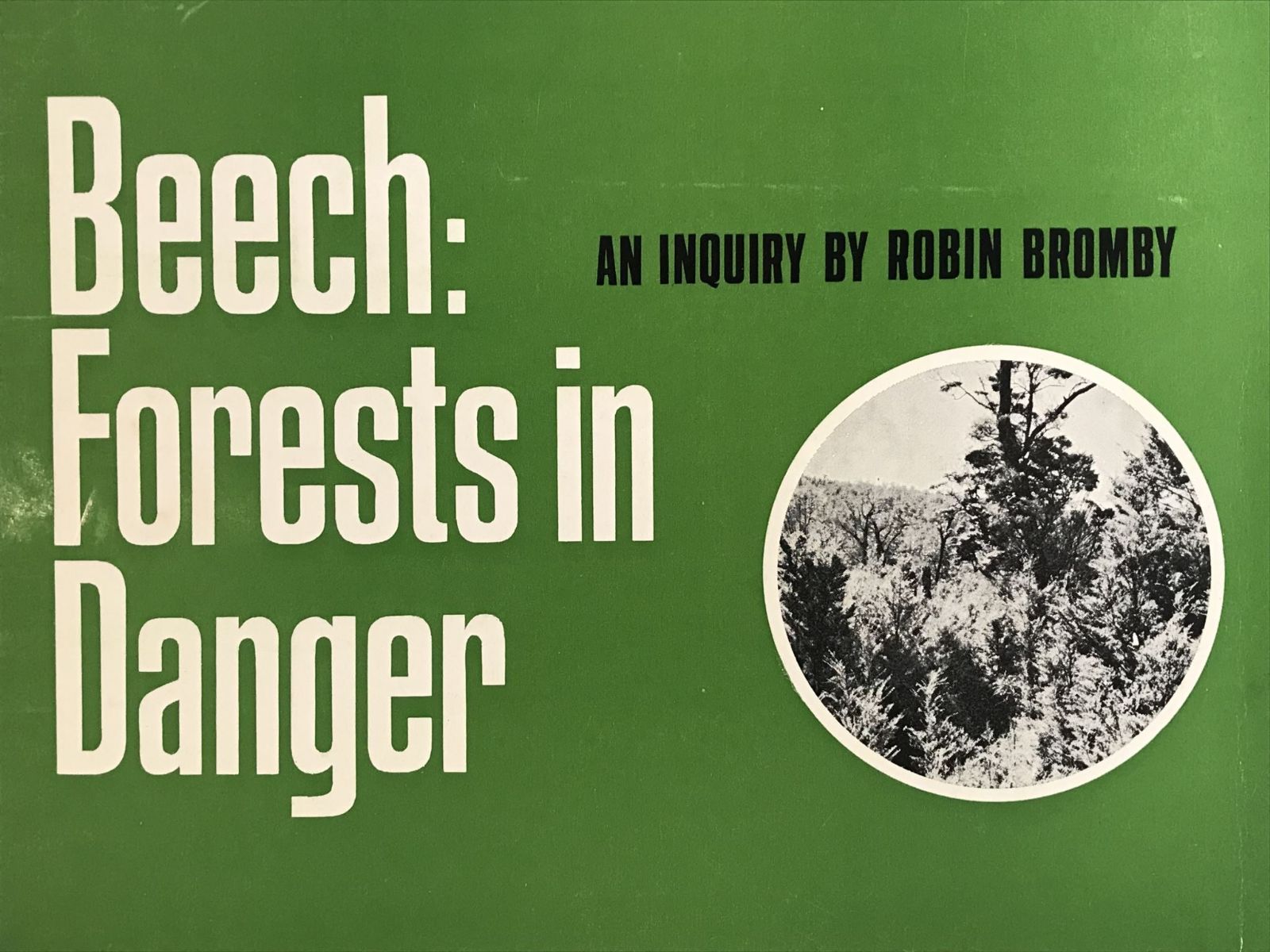 BEECH: Forests in Danger - an inquiry