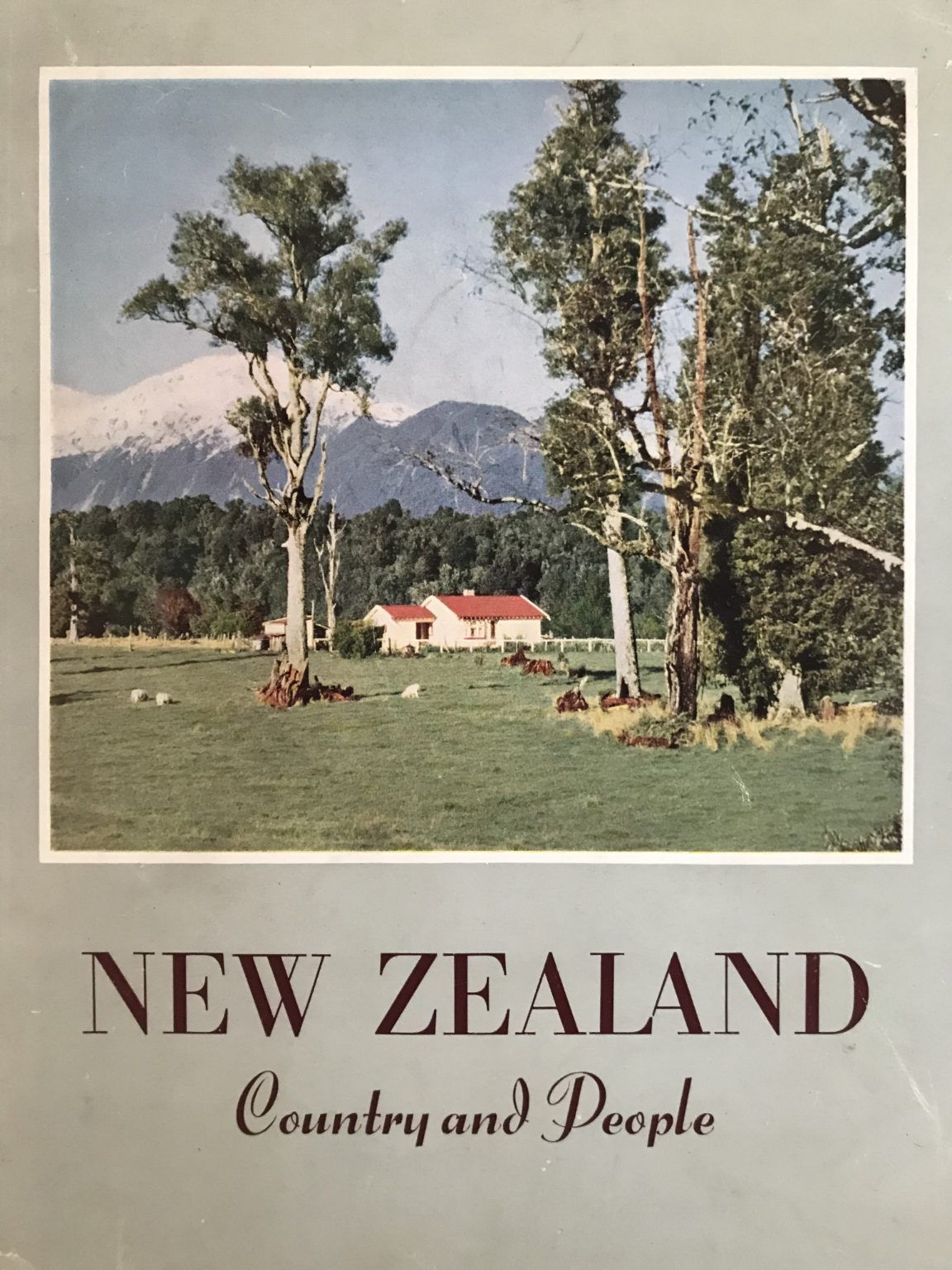 NEW ZEALAND: Country And People