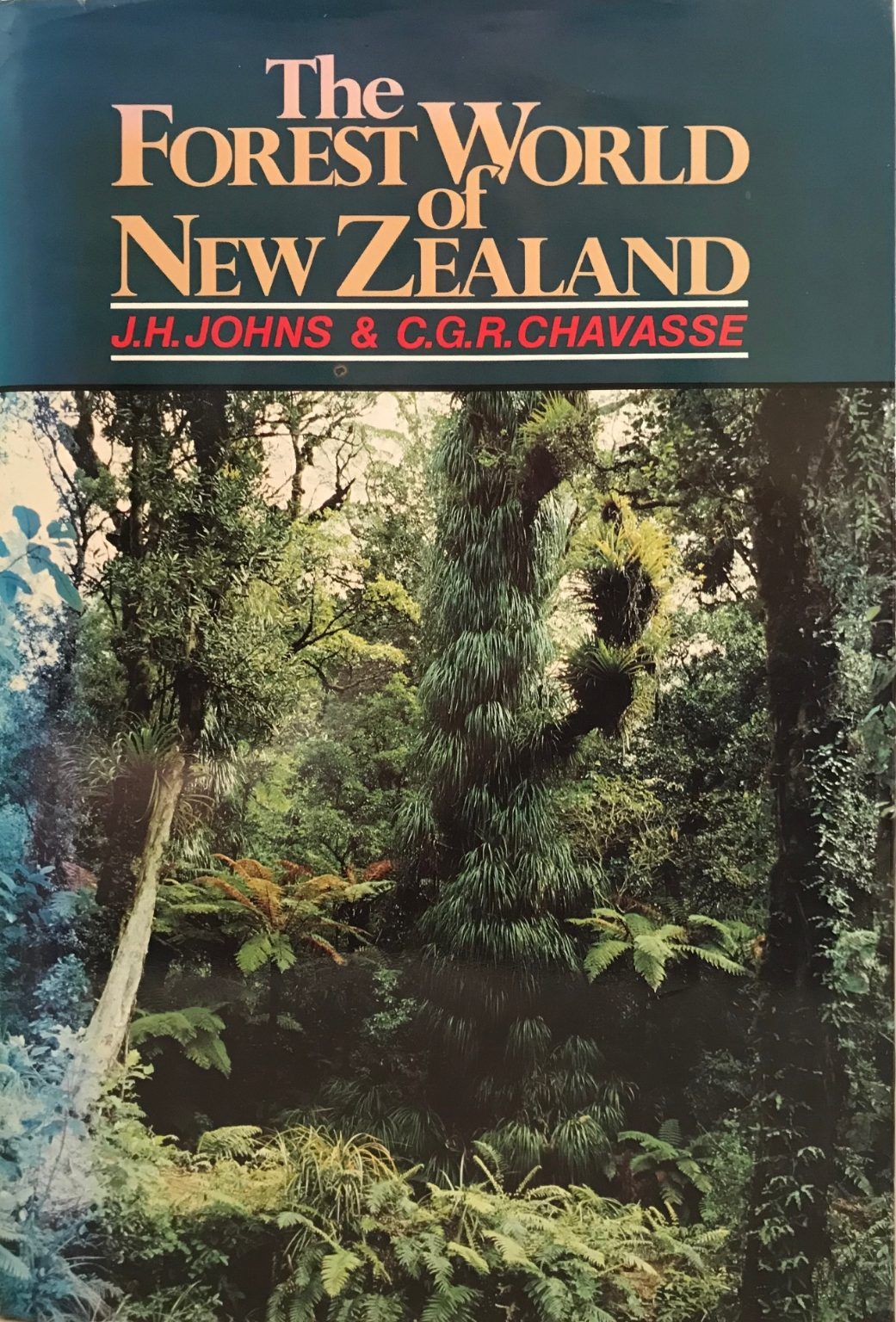 THE FOREST WORLD OF NEW ZEALAND: Realm of Tane-Mahuta