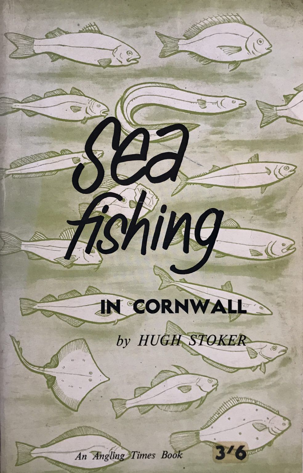 SEA FISHING IN CORNWALL